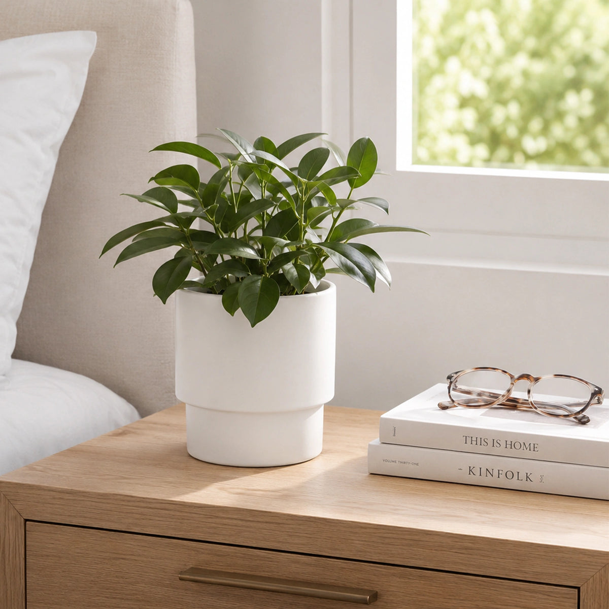 Moda 16cm White Eclipse Indoor Ceramic Pot