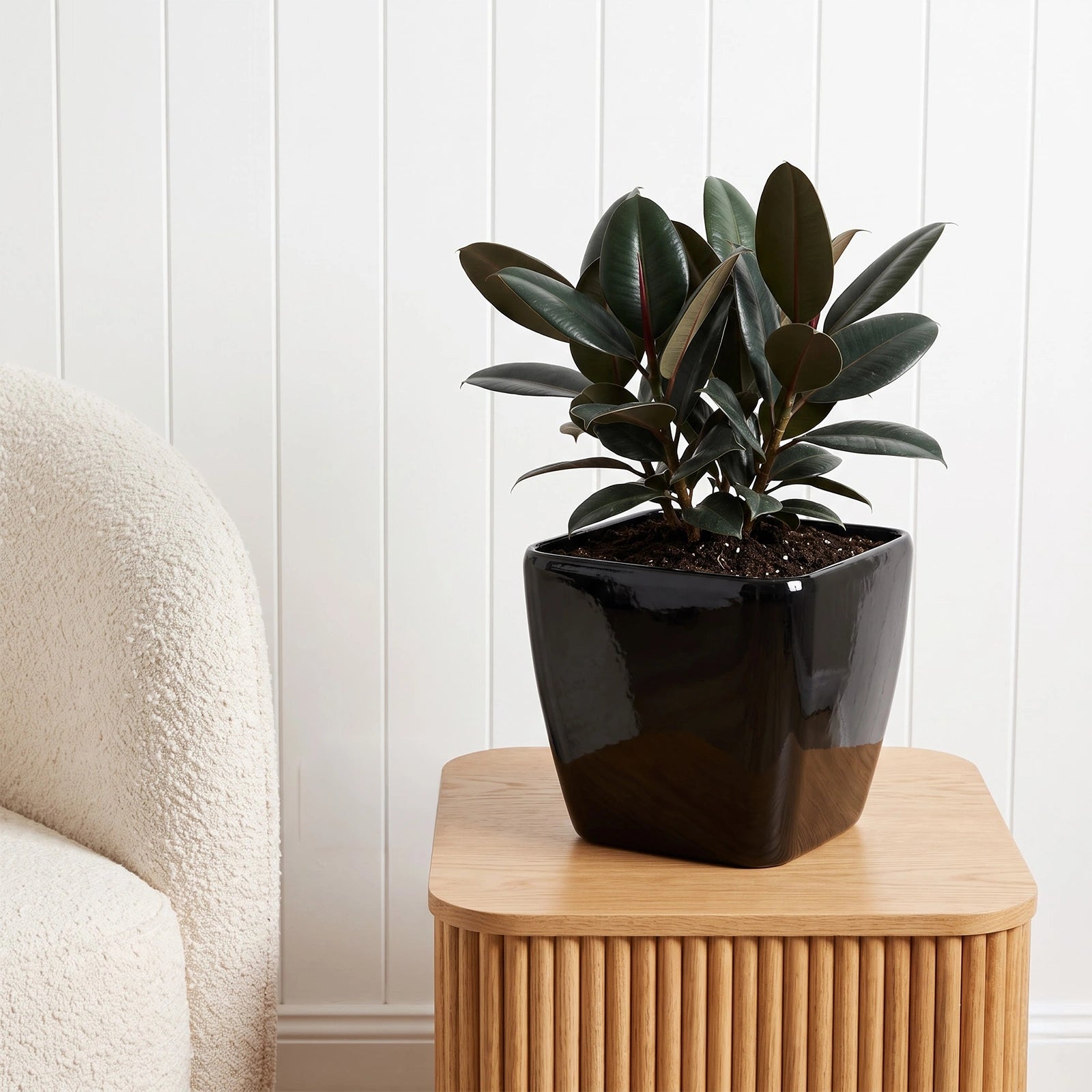 Moda 18cm Black Square Self Watering Plastic Pot