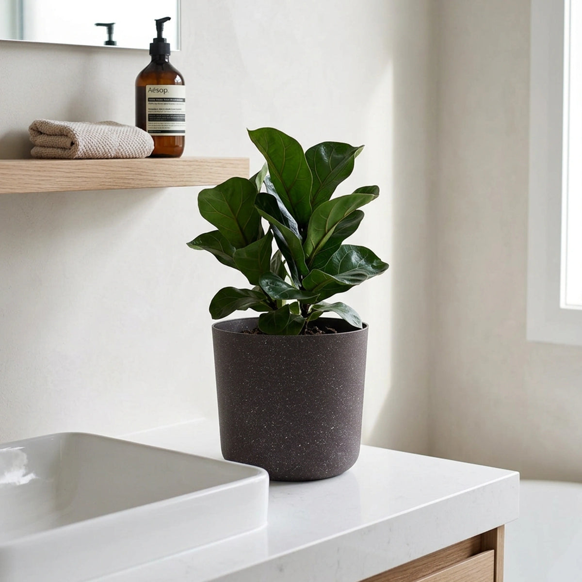 Moda 18cm Charcoal Stonelite Sphere Planter