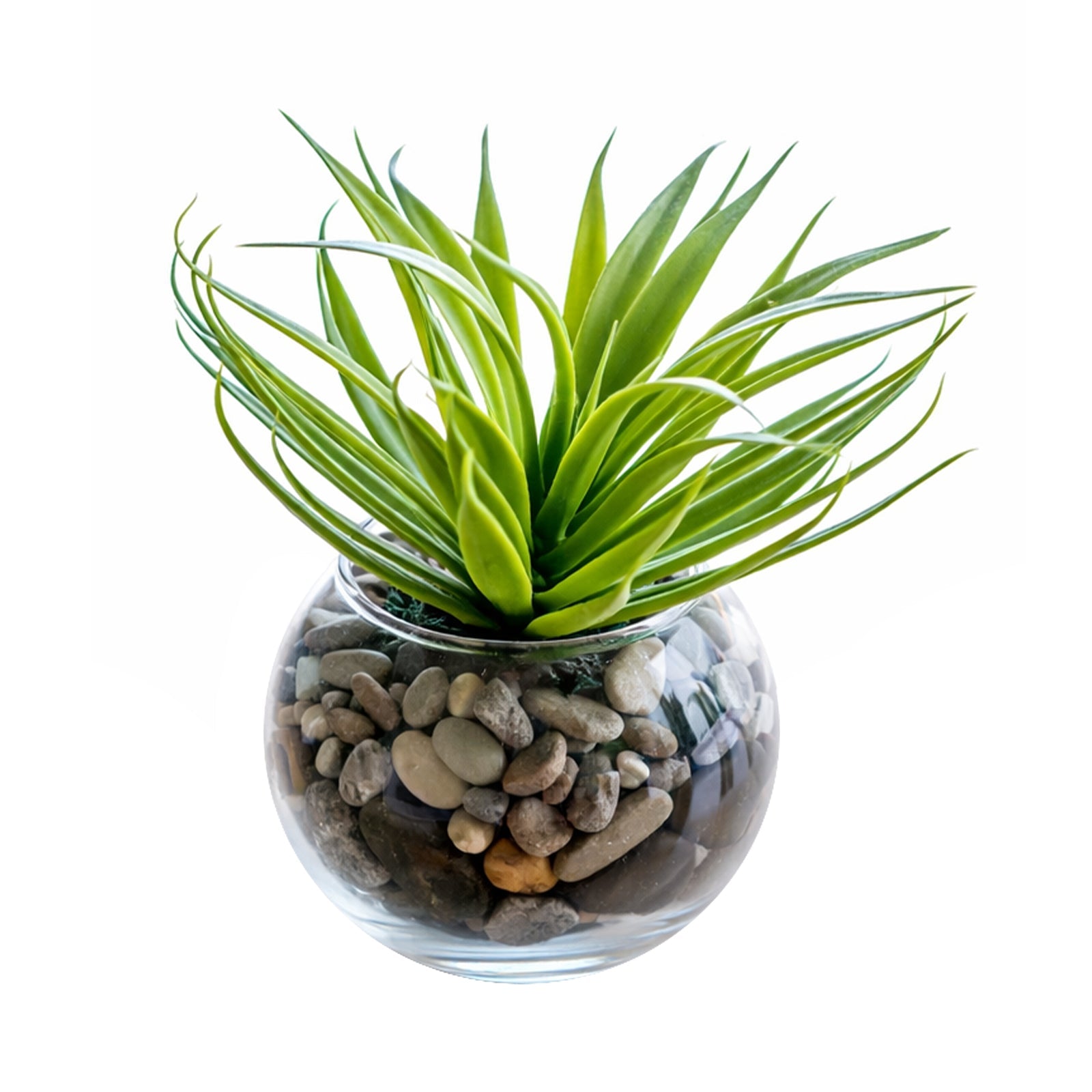 Moda 10cm Glass Bowl Planter, small round glass bowl pot for succulents and small indoor plants