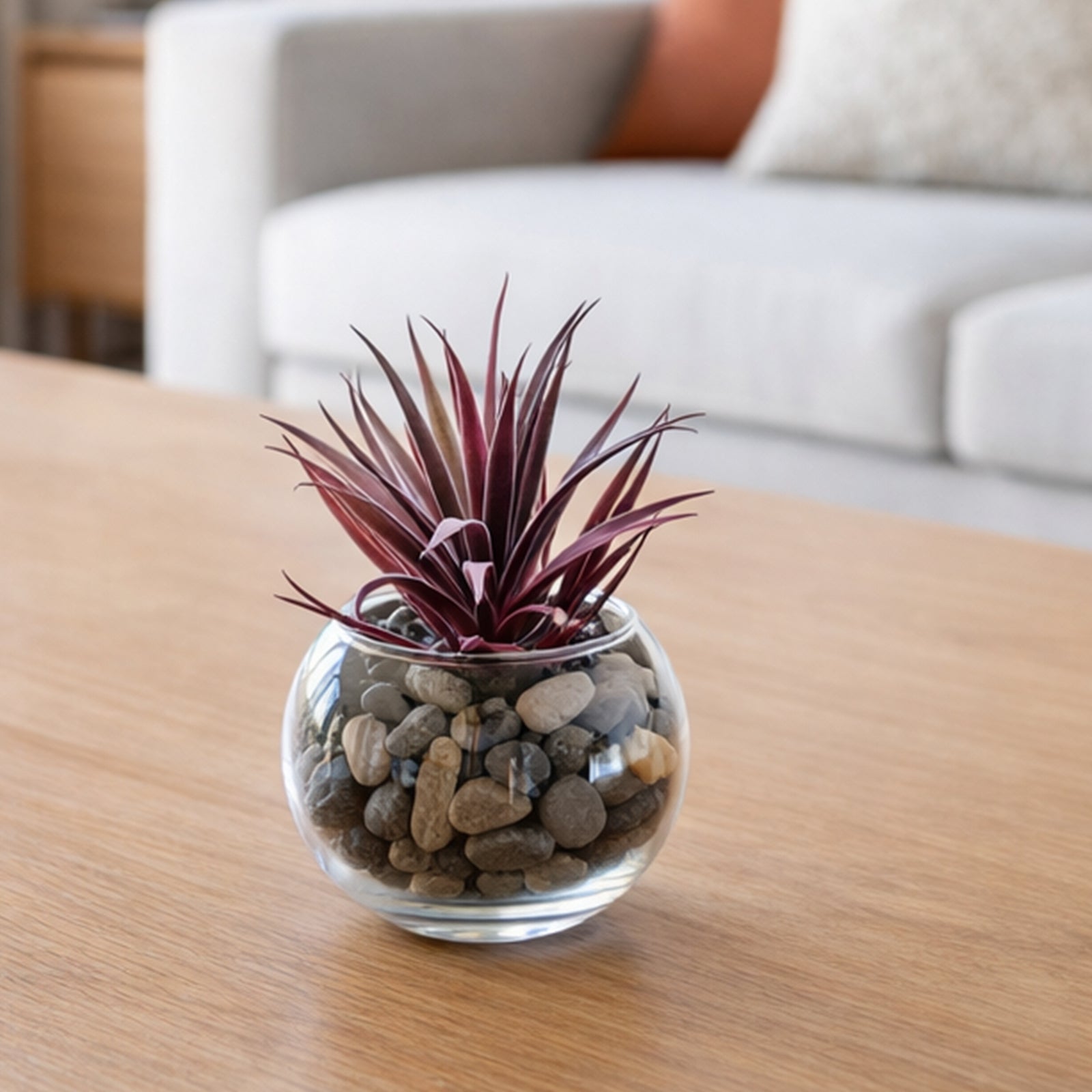 Moda 10cm Glass Bowl Planter, small round glass bowl pot for succulents and small indoor plants