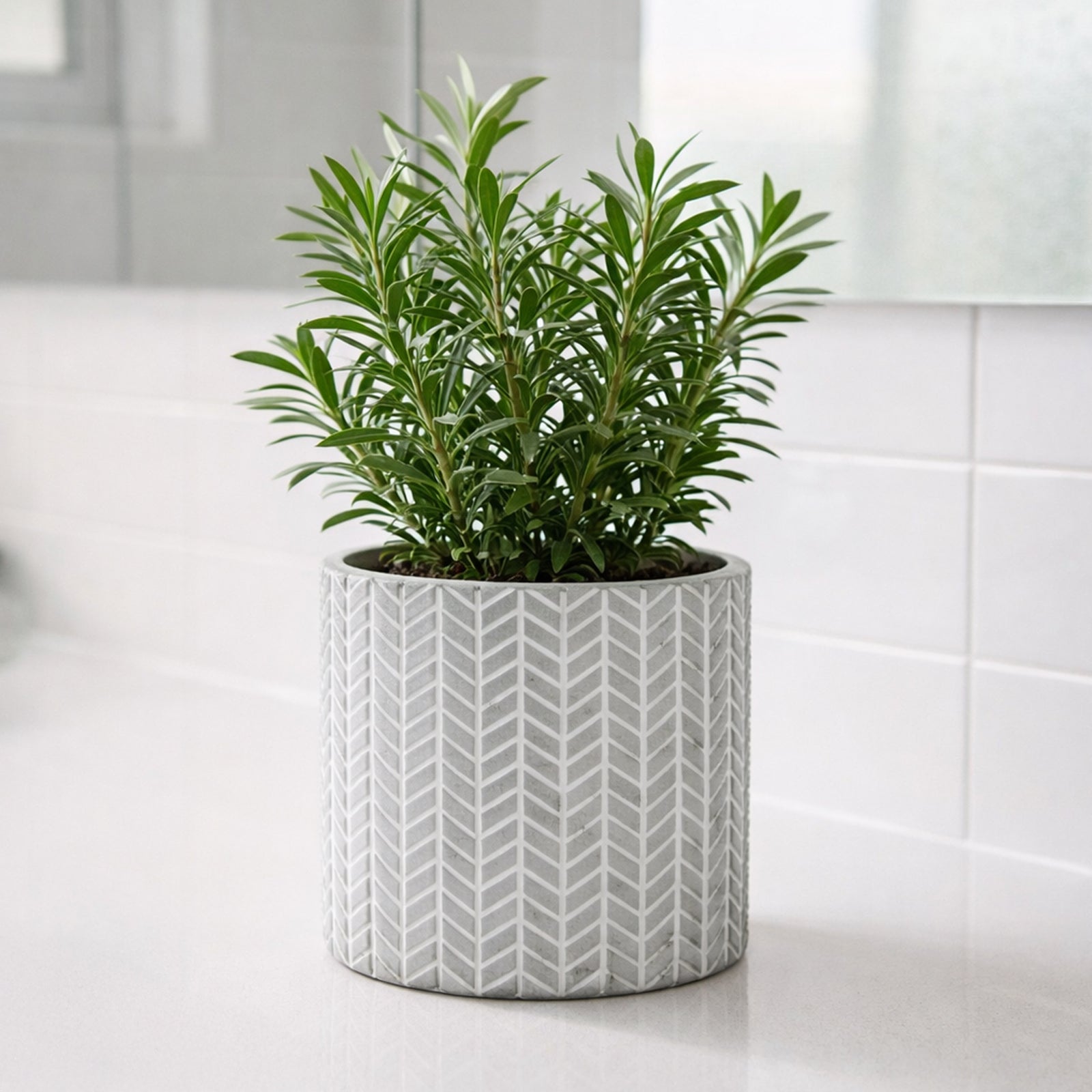 Moda 13.5cm Grey Chevron Indoor Concrete Planter, small chevron-patterned grey concrete pot for indoor plants