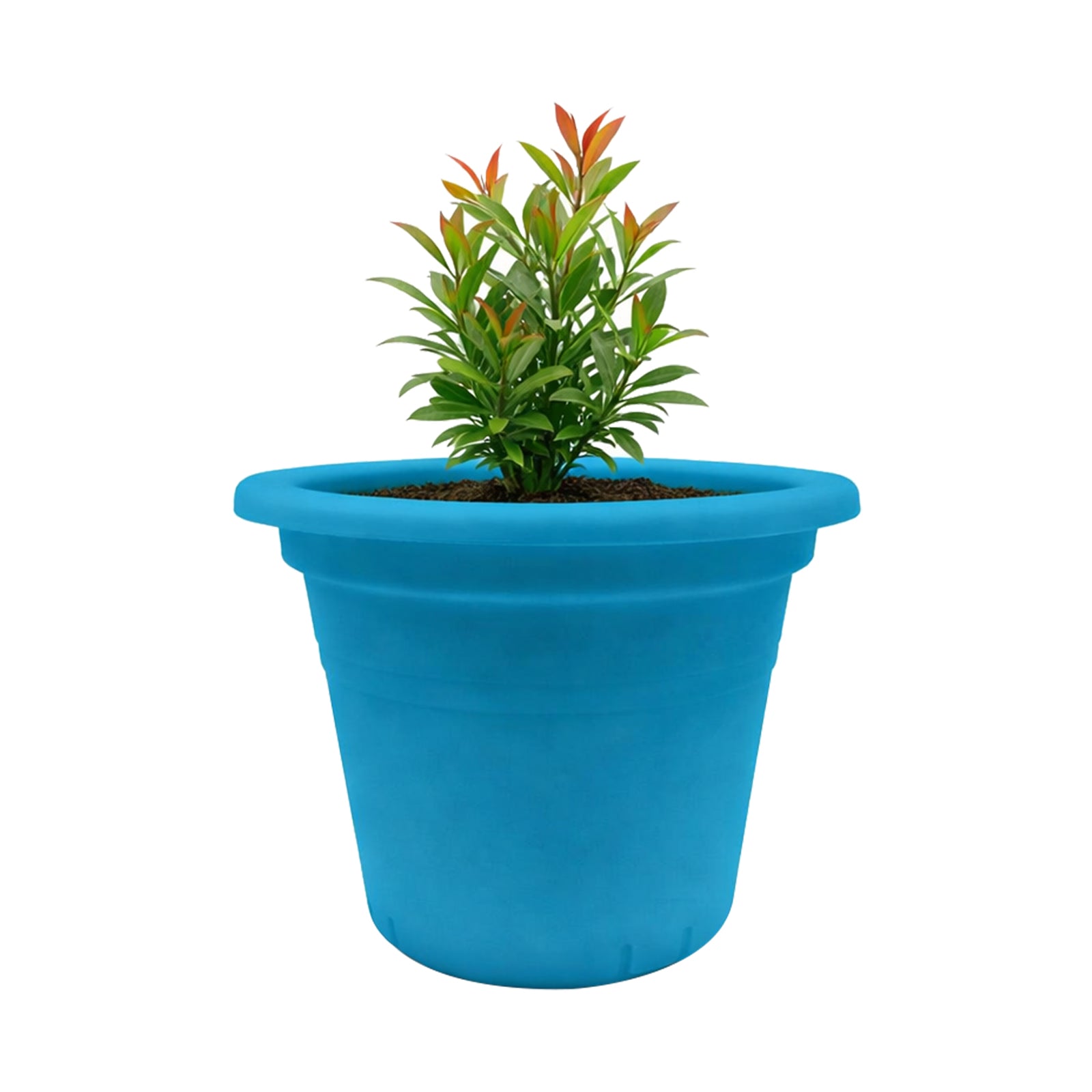 Moda 15cm Round Transparent Aqua Plastic Pot, small aqua transparent round plastic pot for indoor plants