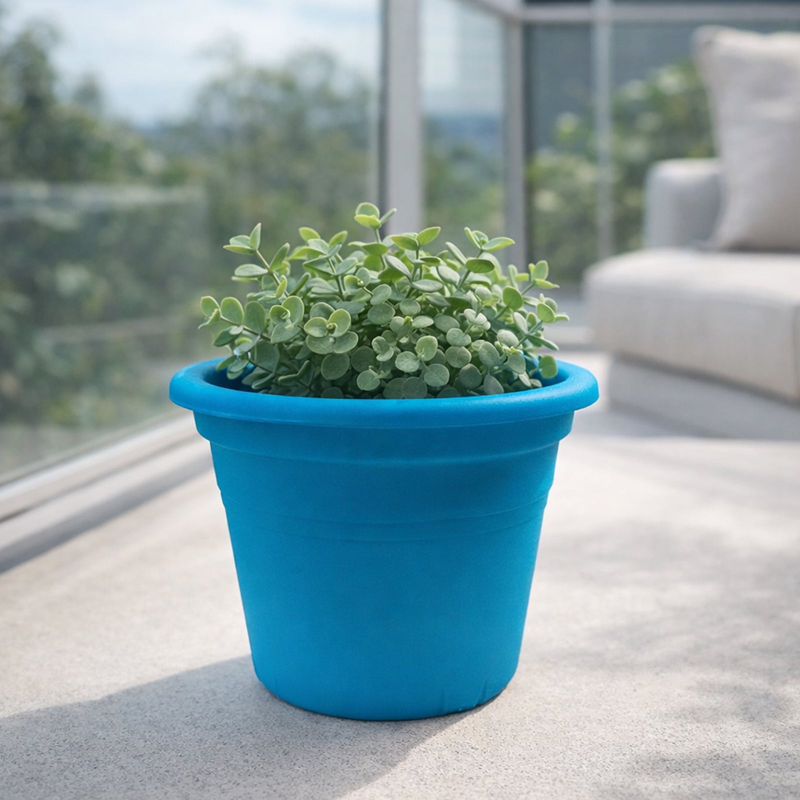 Moda 15cm Round Transparent Aqua Plastic Pot, small aqua transparent round plastic pot for indoor plants