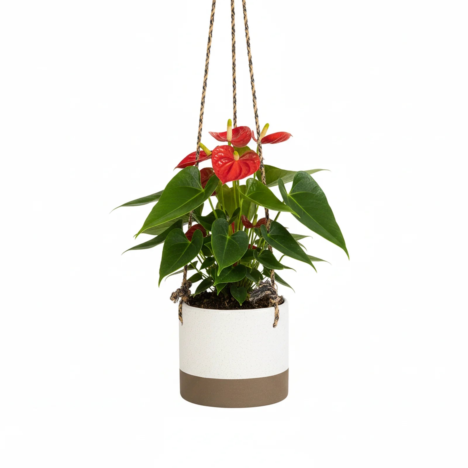 Moda 16cm Beige Ceramic Hanging Planter, small beige glazed ceramic hanging basket pot for indoor plants