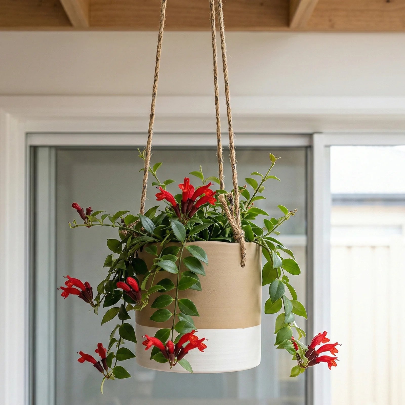 Moda 16cm Taupe Ceramic Hanging Planter, small taupe glazed ceramic hanging basket pot for indoor plants