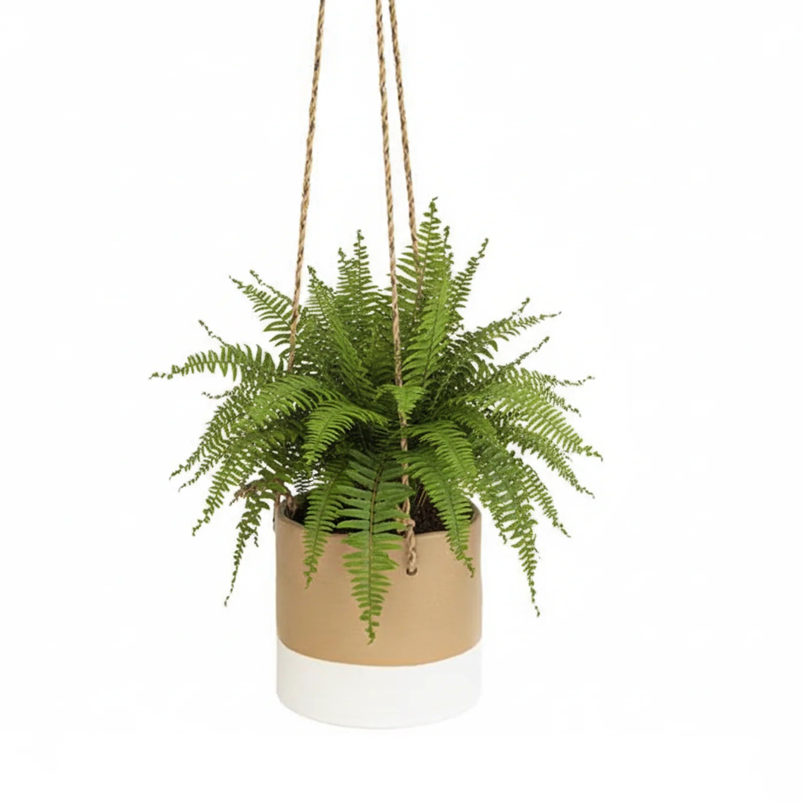 Moda 16cm Taupe Ceramic Hanging Planter, small taupe glazed ceramic hanging basket pot for indoor plants
