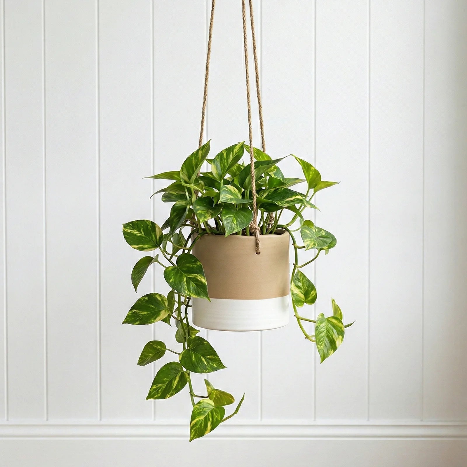 Moda 16cm Taupe Ceramic Hanging Planter, small taupe glazed ceramic hanging basket pot for indoor plants