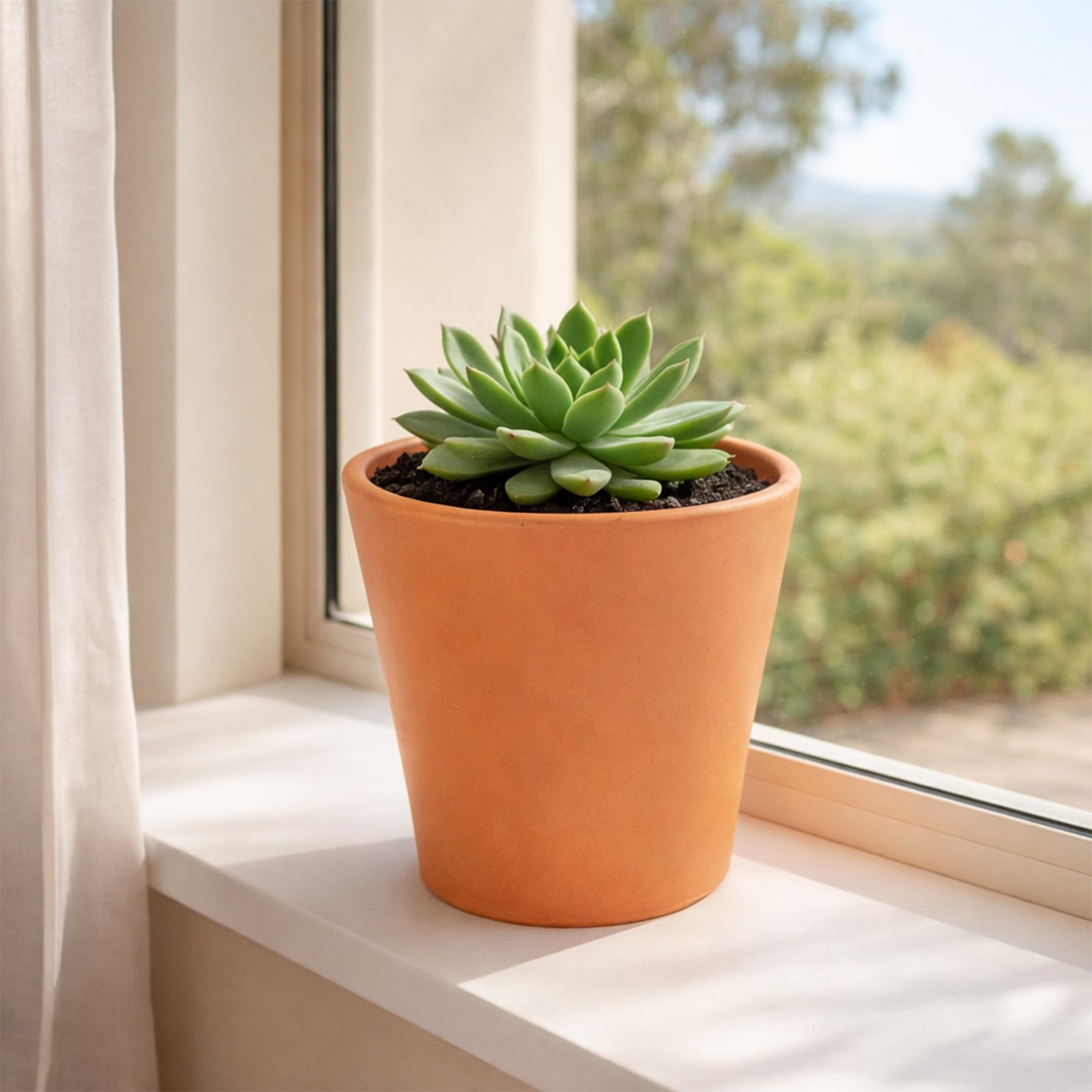 Moda 16x14.7cm Terracotta Cono Red Clay Pot