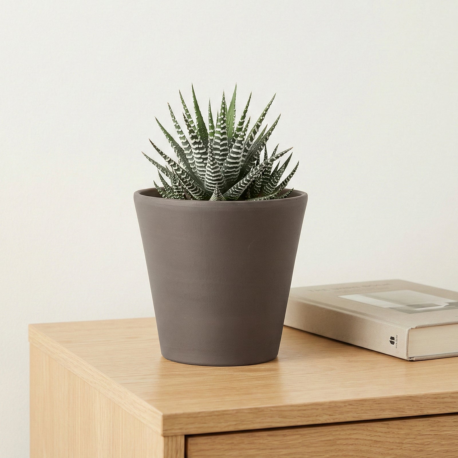 Moda 16x14.7cm Terracotta Cono Titanium Clay Pot