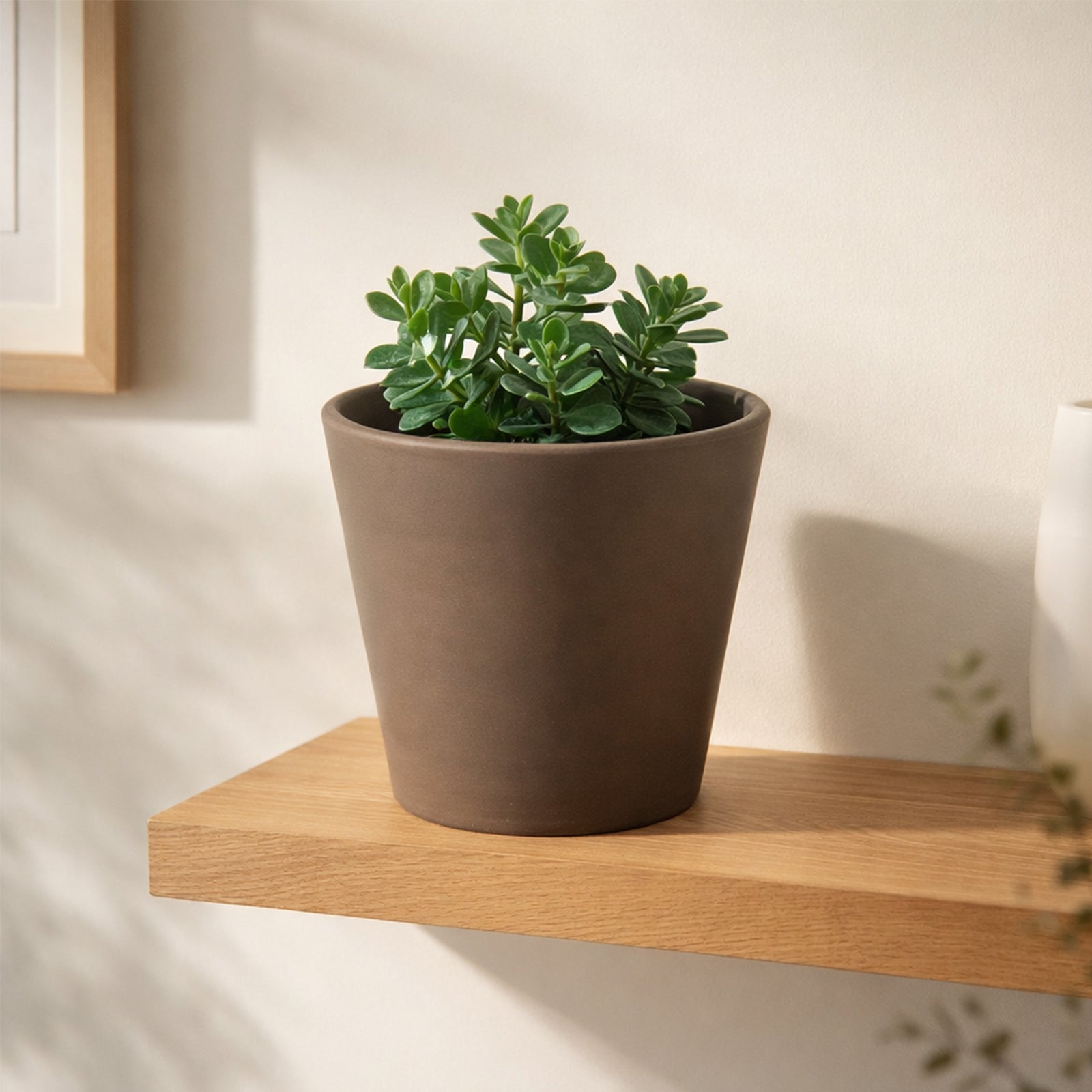 Moda 20x18.5cm Terracotta Cono Light Clay Pot
