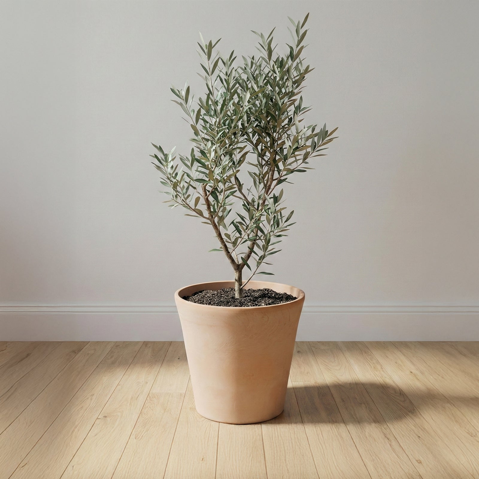 Moda 25x23cm  Terracotta Cono Light Clay Pot