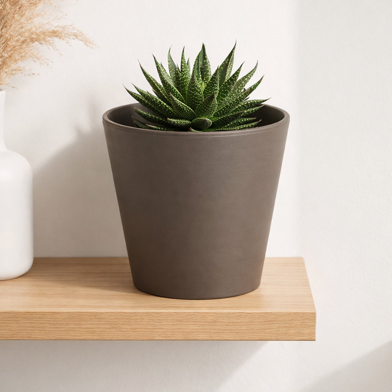 Moda 25x23cm Terracotta Cono Titanium Clay Pot