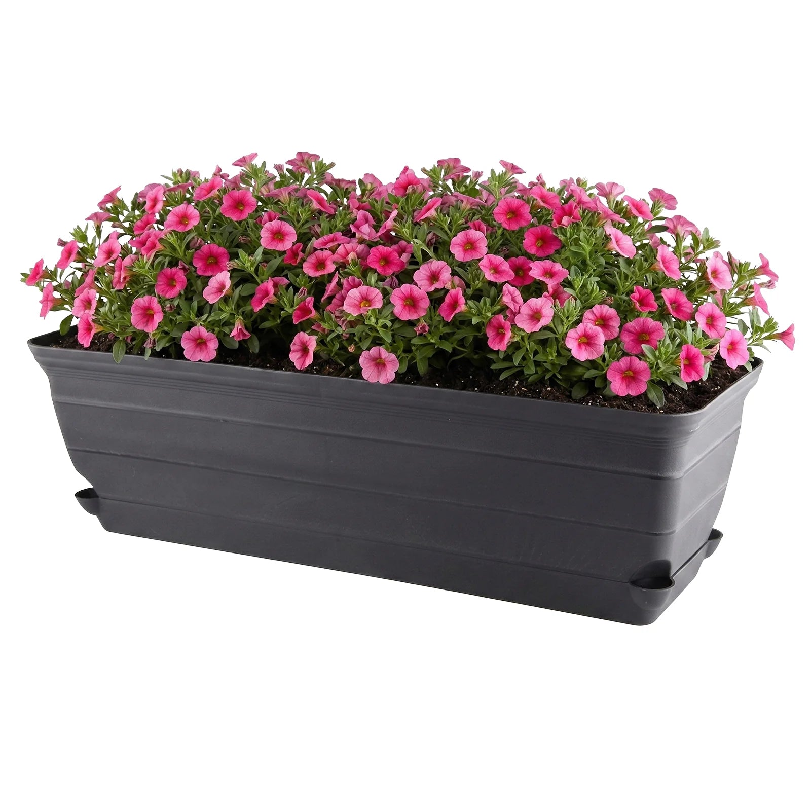 Moda 60cm Charcoal Self Watering Roman Trough Planter, large charcoal classic-style rectangular trough with water reservoir