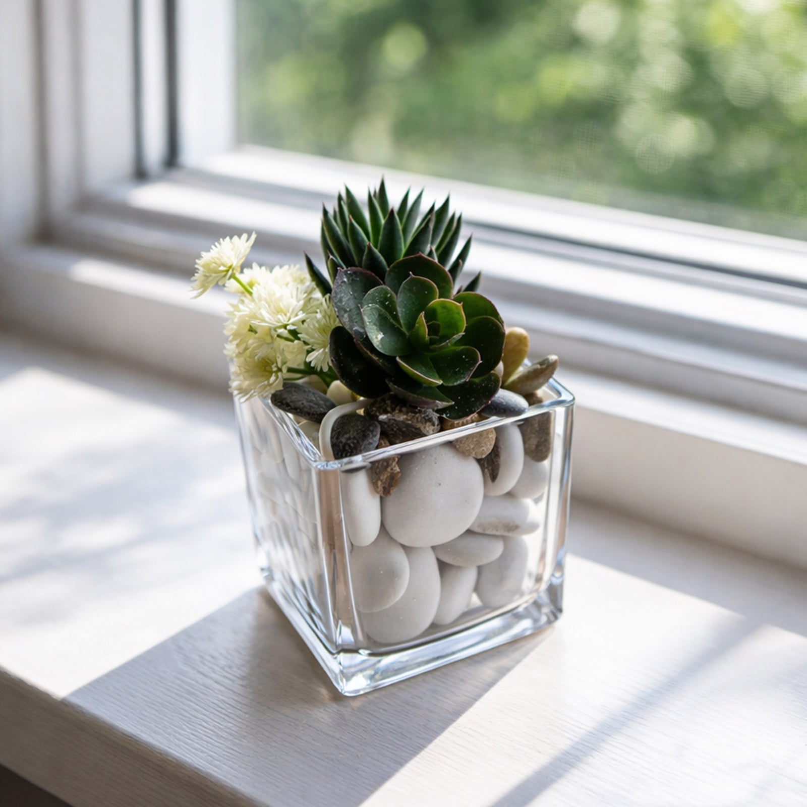 Moda 8cm Glass Square Planter, small square glass pot for succulents and small indoor plants