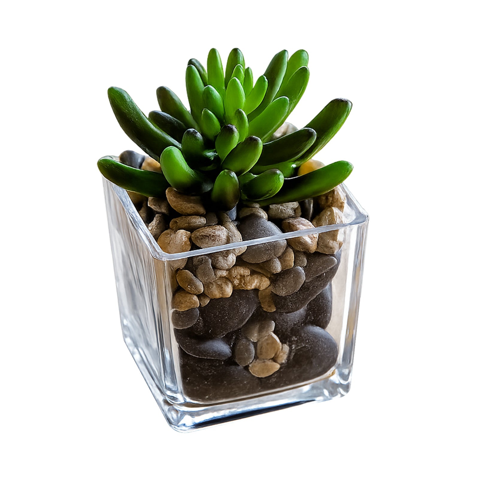 Moda 8cm Glass Square Planter, small square glass pot for succulents and small indoor plants