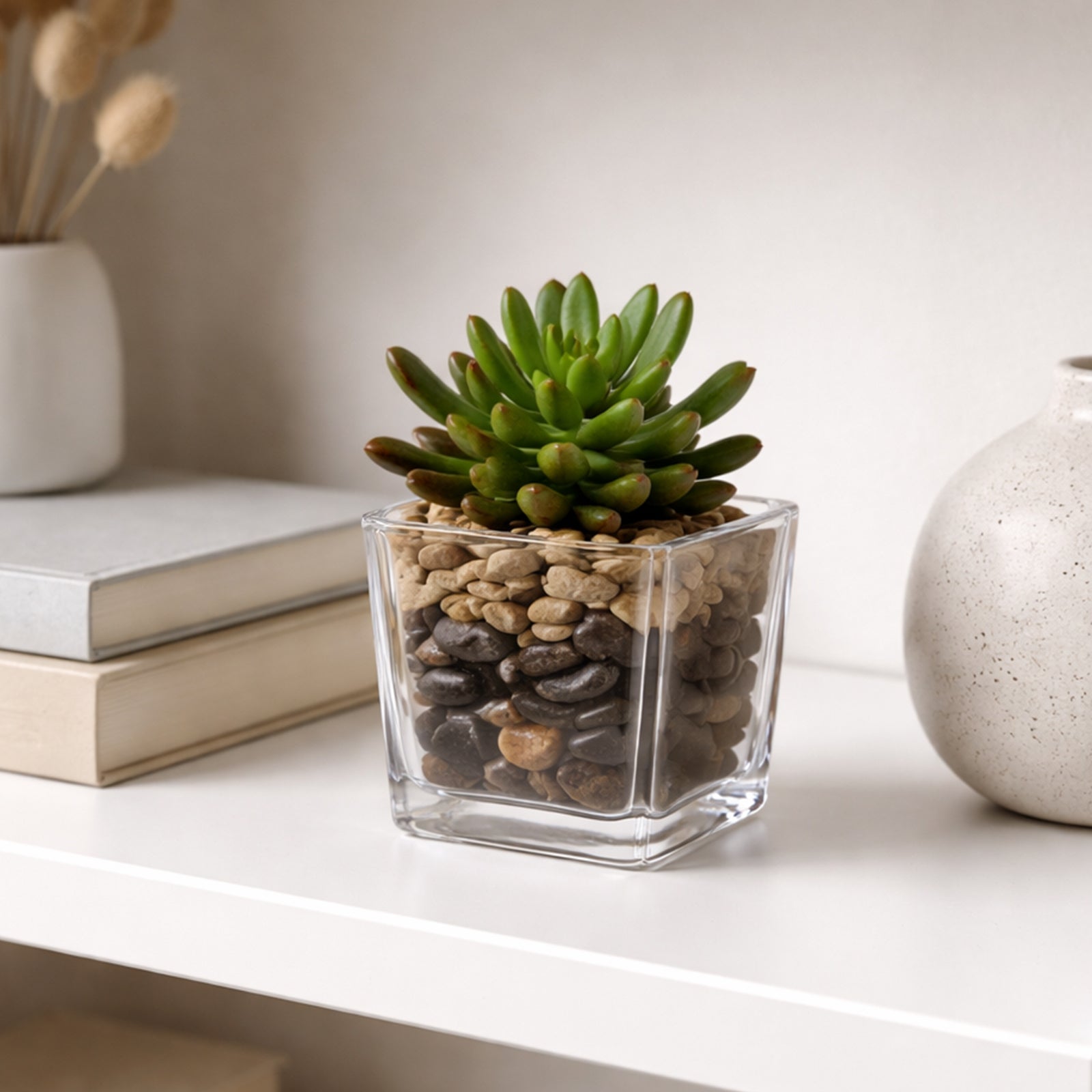 Moda 8cm Glass Square Planter, small square glass pot for succulents and small indoor plants