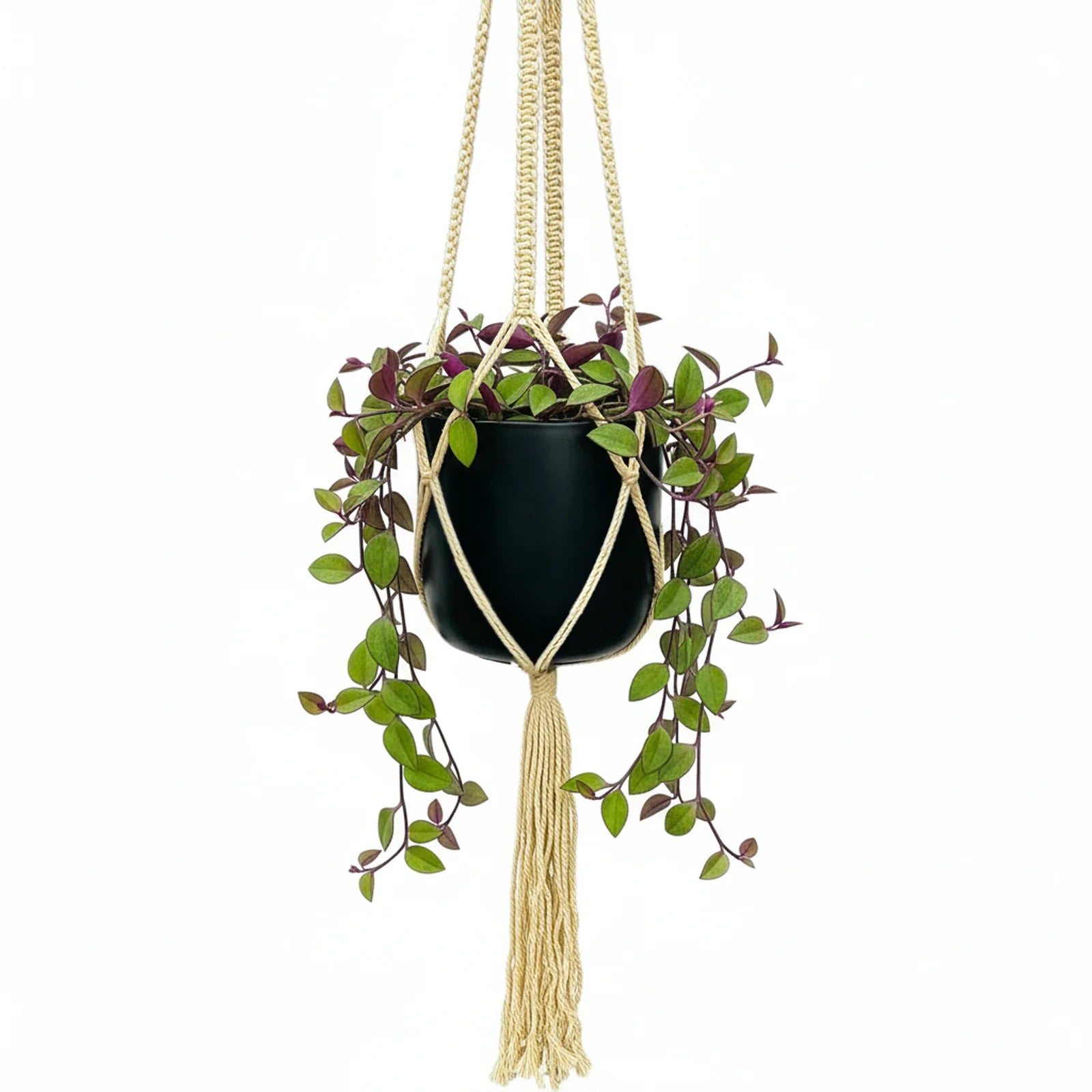 Moda 115cm Gypsy Cotton Macrame Plant Hanger, decorative handcrafted cotton rope hanging pot holder