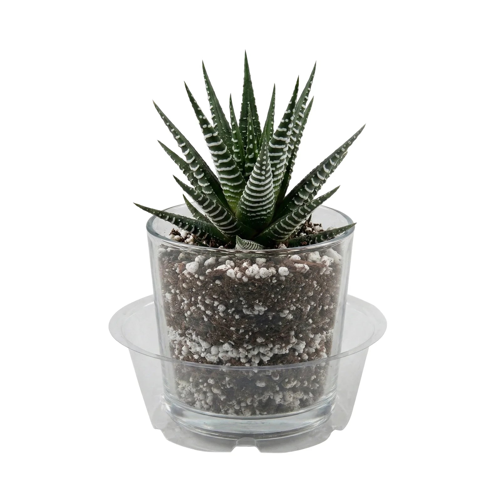 Moda 12.3cm Clear Vinyl Pot Saucer, small flexible clear vinyl drip tray for indoor pots