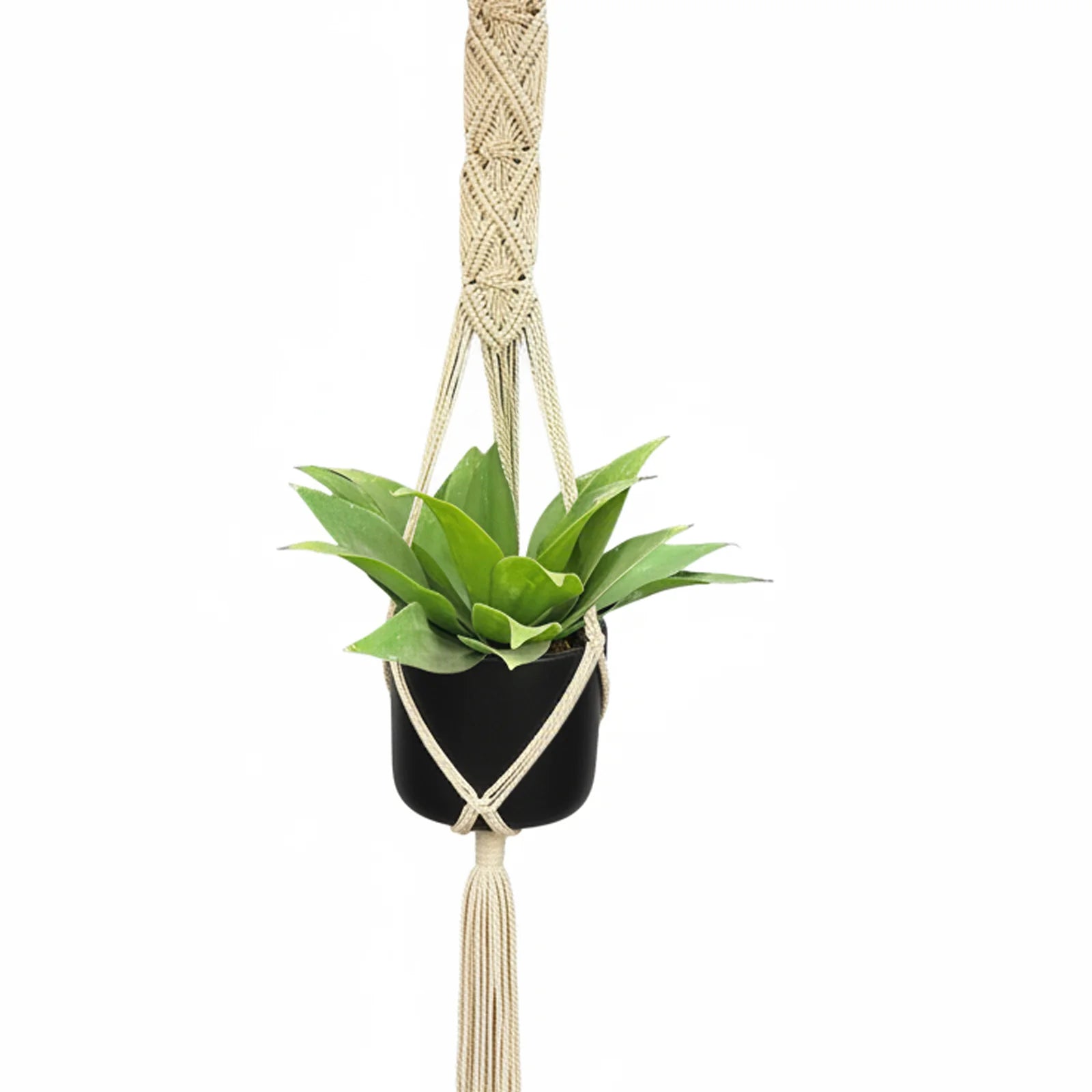 Moda 120cm Artisan Cotton Macrame Plant Hanger in natural cotton rope, boho-style hanging planter for indoor use