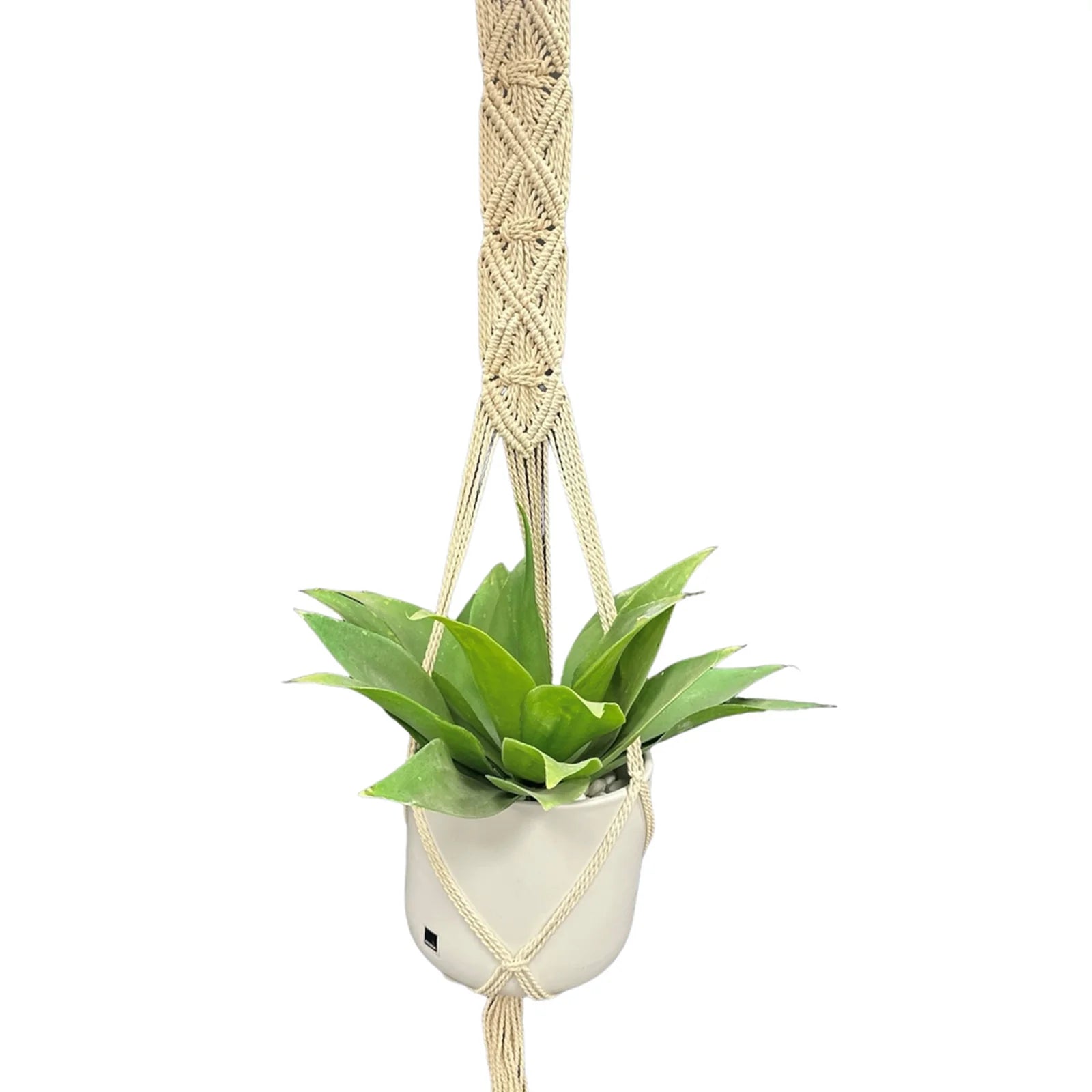 Moda 120cm Artisan Cotton Macrame Plant Hanger in natural cotton rope, boho-style hanging planter for indoor use