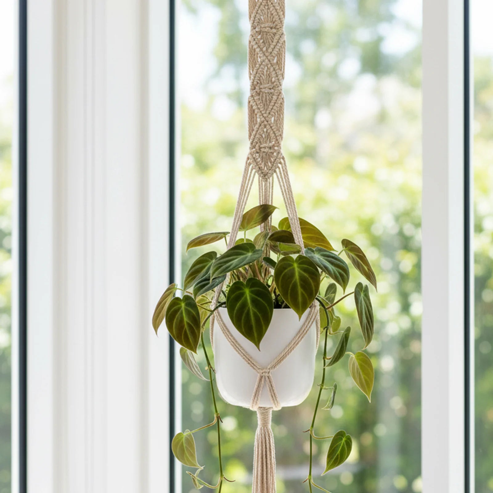 Moda 120cm Artisan Cotton Macrame Plant Hanger in natural cotton rope, boho-style hanging planter for indoor use