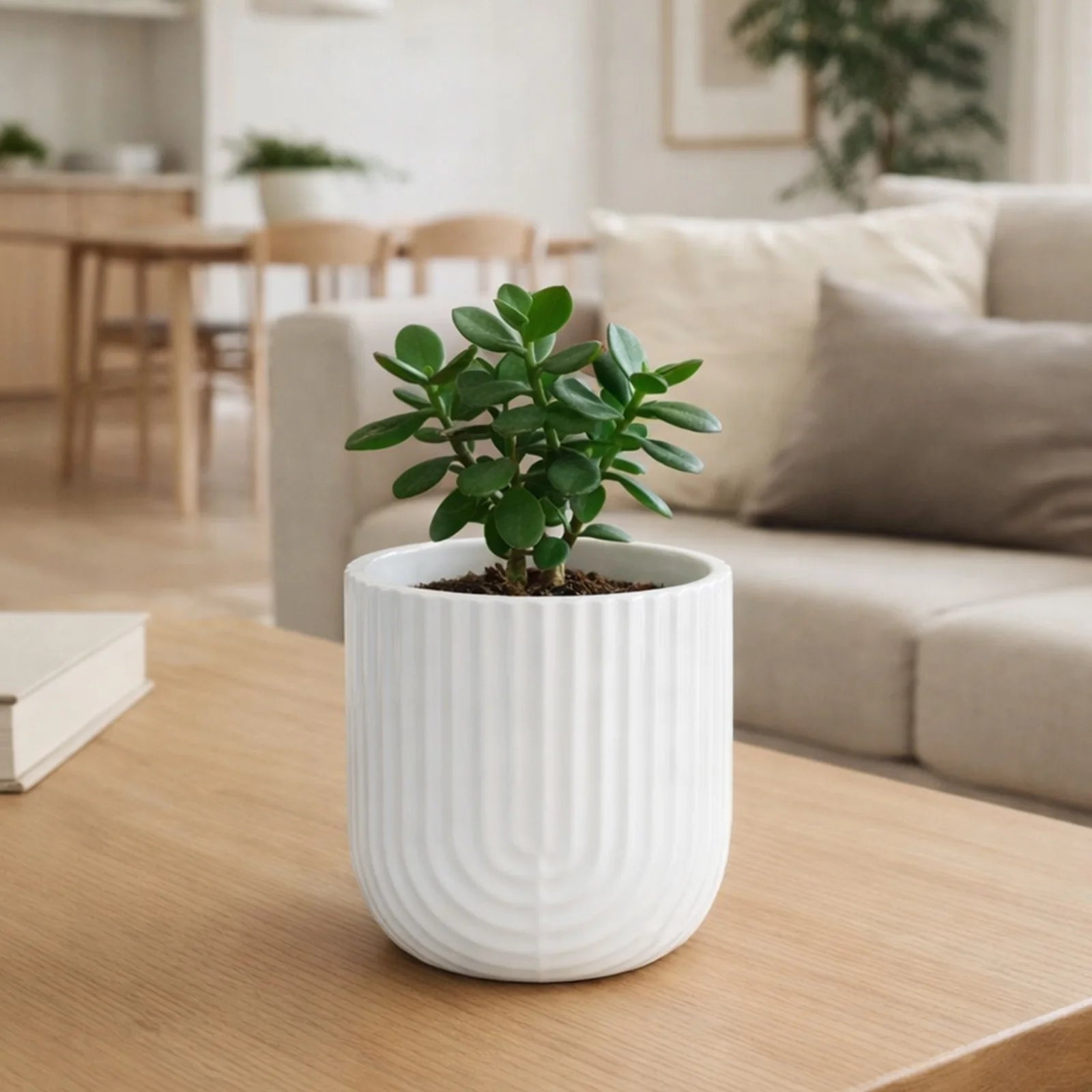 Moda 12cm Off White Rainbow Indoor Ceramic Planter, small off-white glazed rainbow ceramic pot for indoor plants