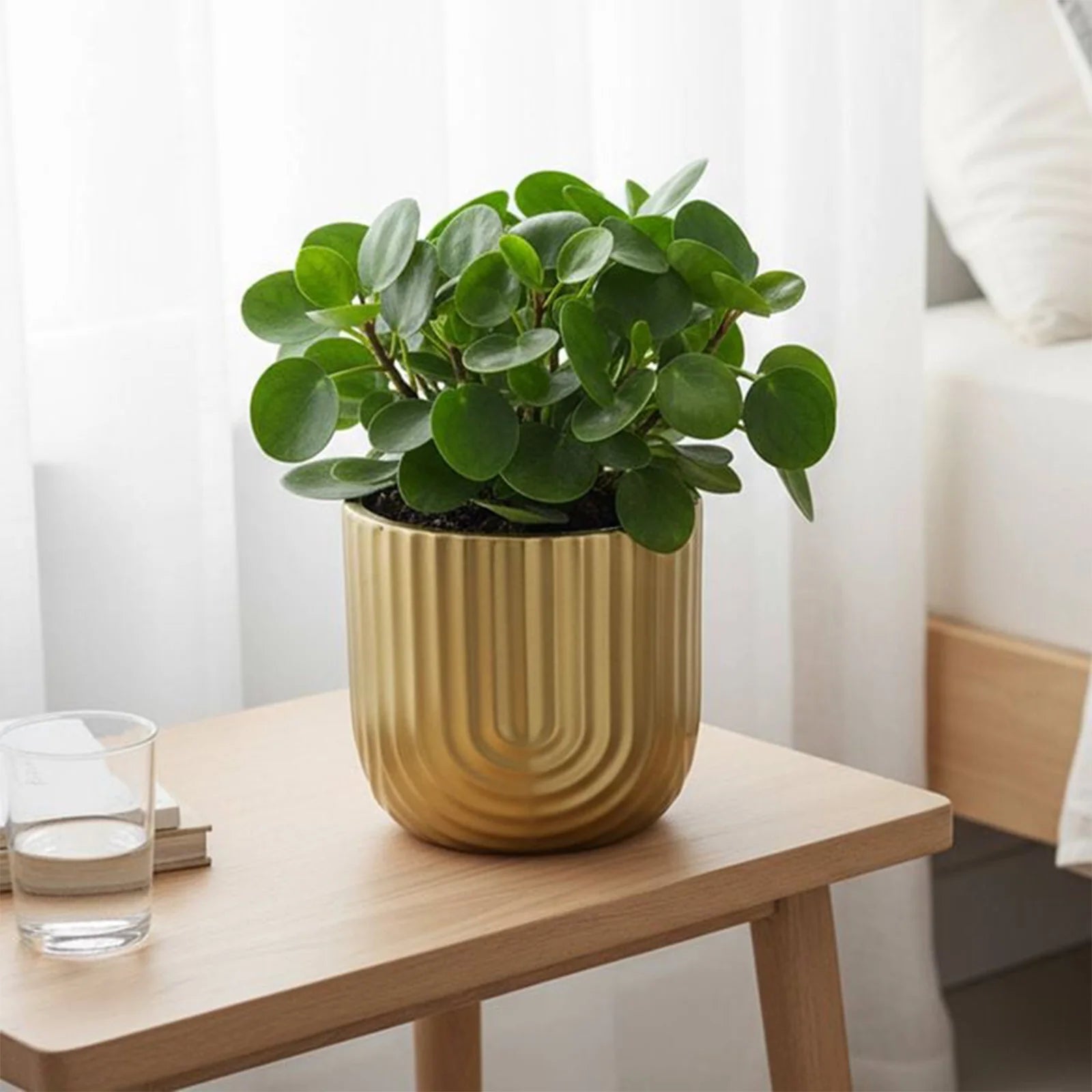 Moda 14.5cm Gold Rainbow Indoor Ceramic Planter, medium colourful glazed ceramic pot for indoor plants