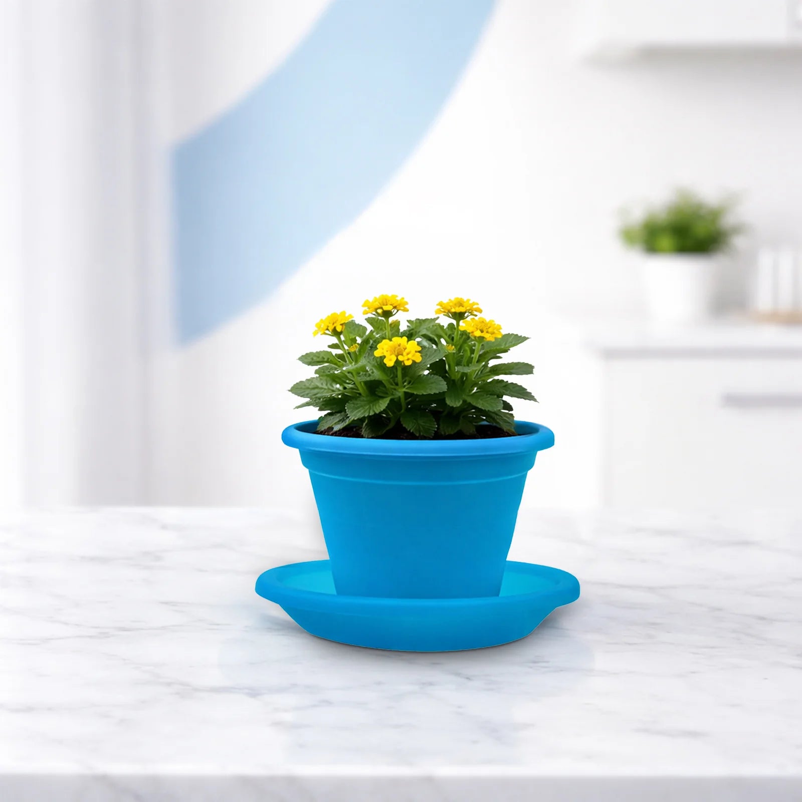 Moda 14cm Aqua Transparent Round Plant Saucer, small aqua clear plastic drip tray for indoor pots