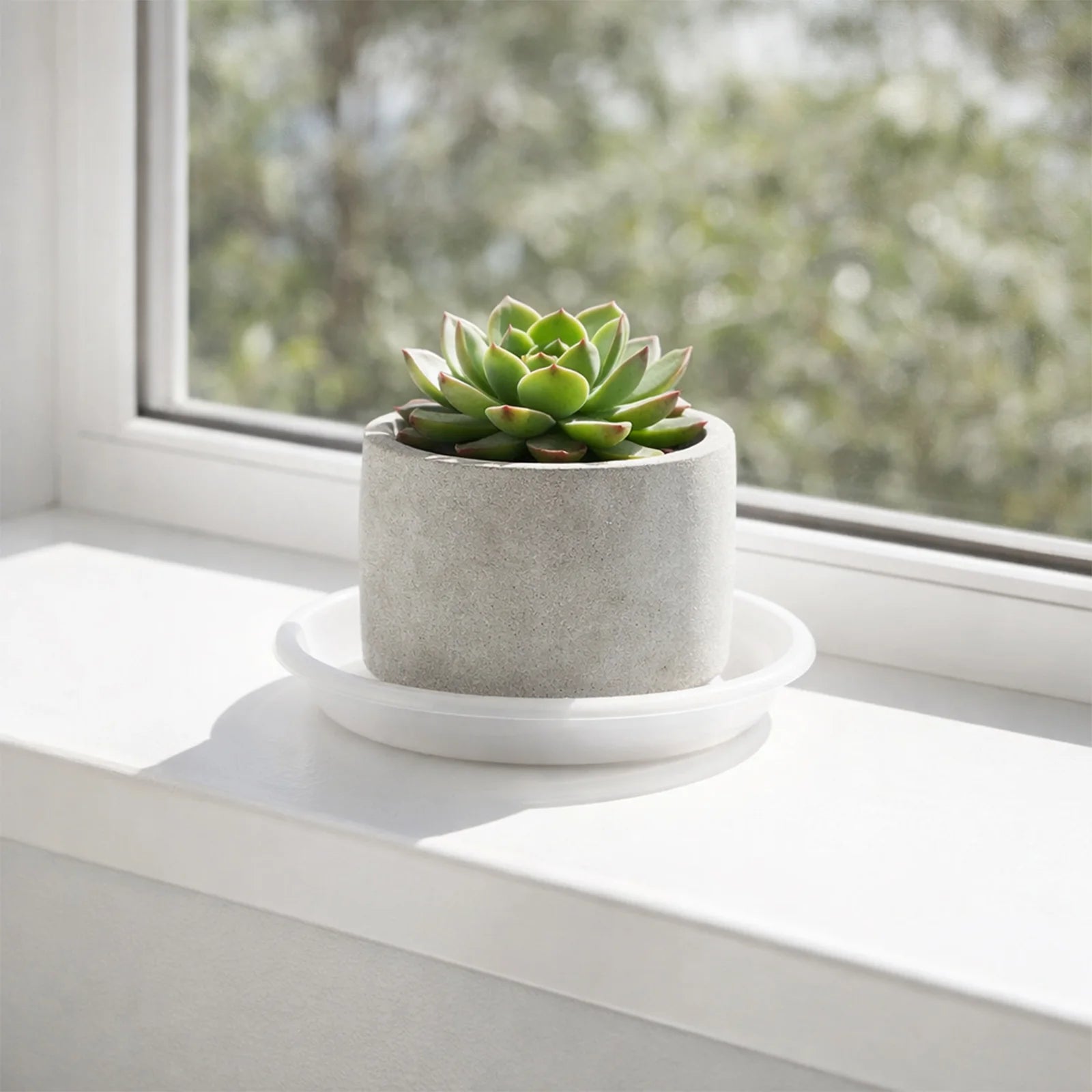 Moda 14cm Clear White Transparent Plant Saucer, small clear plastic drip tray for indoor pots