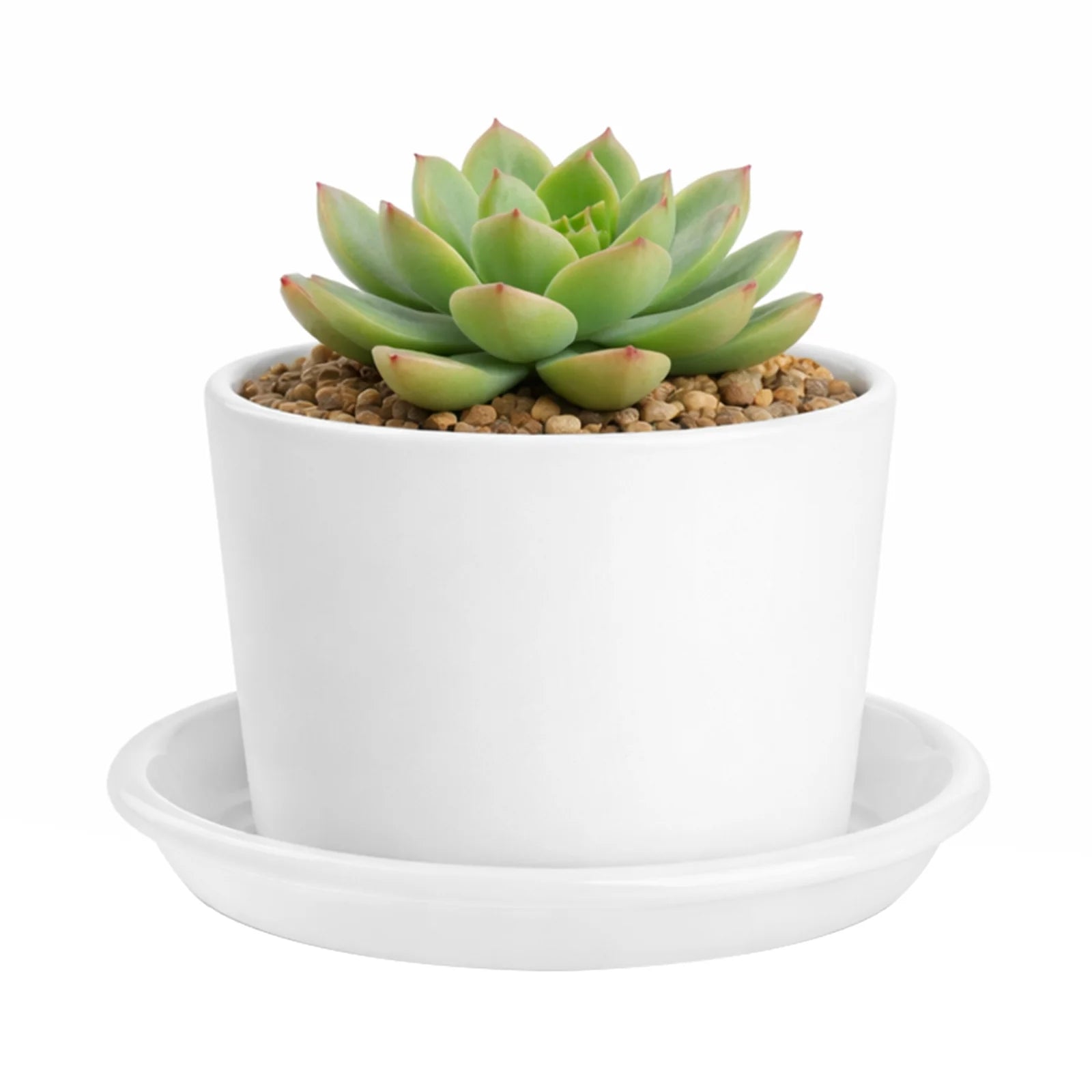 Moda 14cm Clear White Transparent Plant Saucer, small clear plastic drip tray for indoor pots