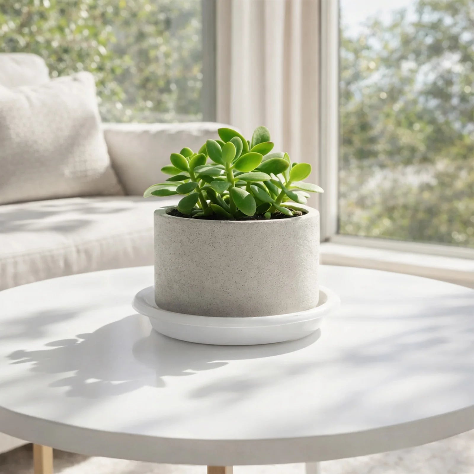 Moda 14cm Clear White Transparent Plant Saucer, small clear plastic drip tray for indoor pots