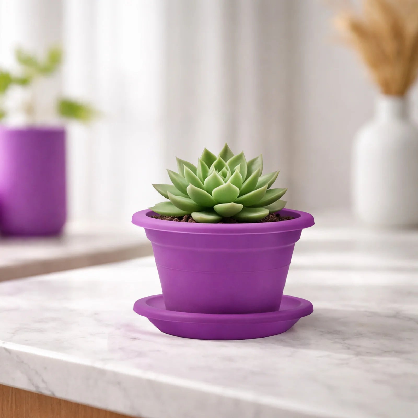 Moda 14cm Purple Transparent Round Plant Saucer, small purple clear plastic drip tray for indoor pots