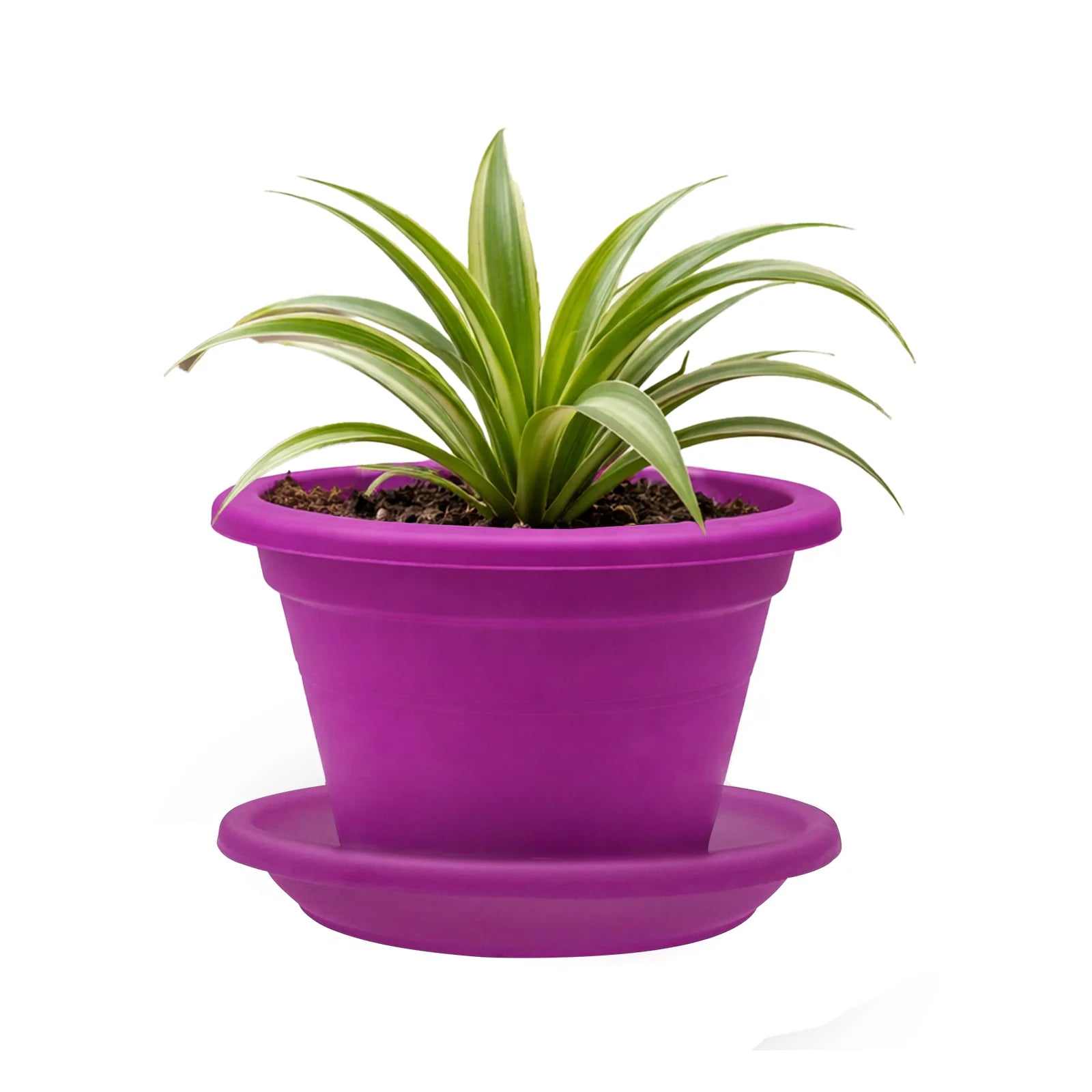 Moda 14cm Purple Transparent Round Plant Saucer, small purple clear plastic drip tray for indoor pots