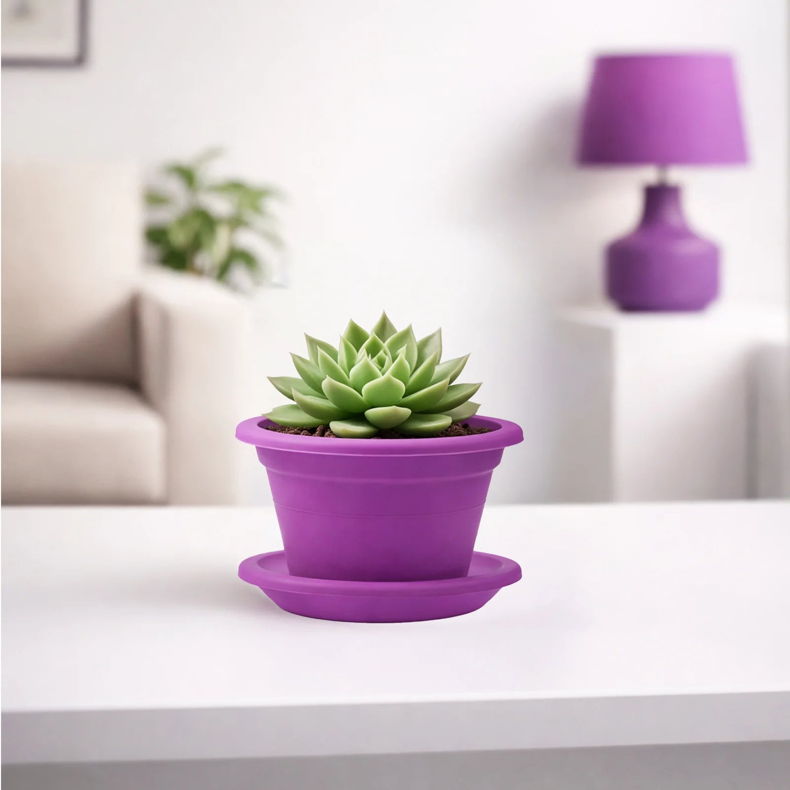 Moda 14cm Purple Transparent Round Plant Saucer, small purple clear plastic drip tray for indoor pots