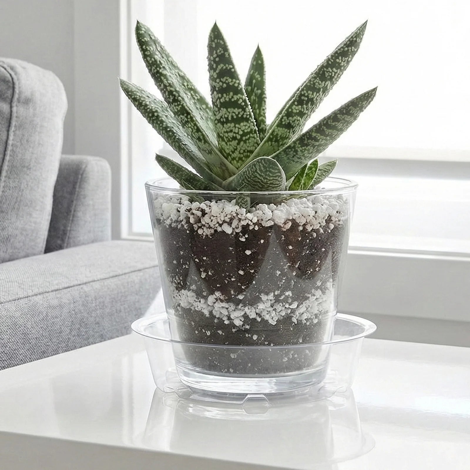 Moda 15.2cm Clear Vinyl Pot Saucer, medium flexible clear vinyl drip tray for indoor pots