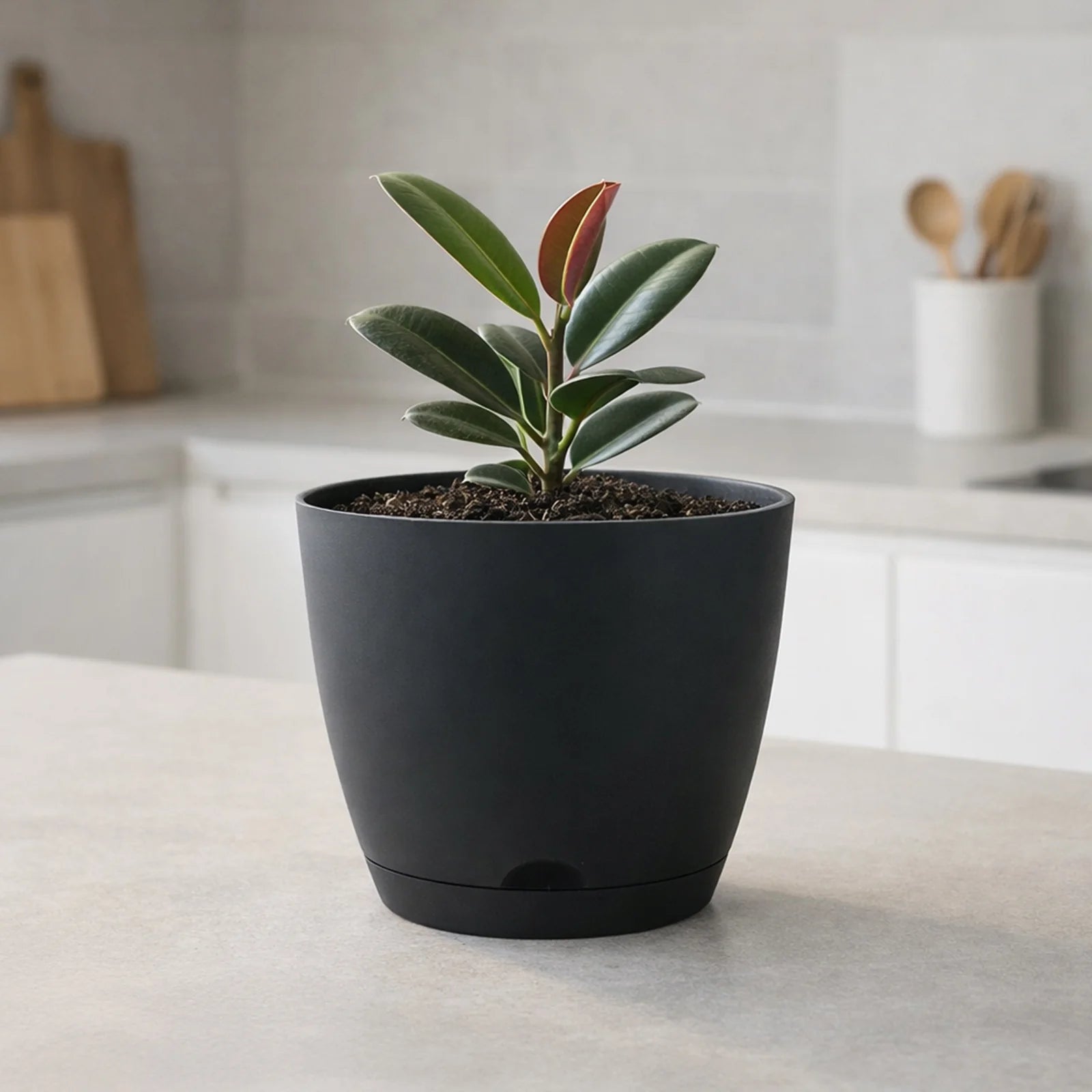 Moda 15cm Charcoal Oslo Self-Watering Planter, small charcoal modern round pot with built-in water reservoir