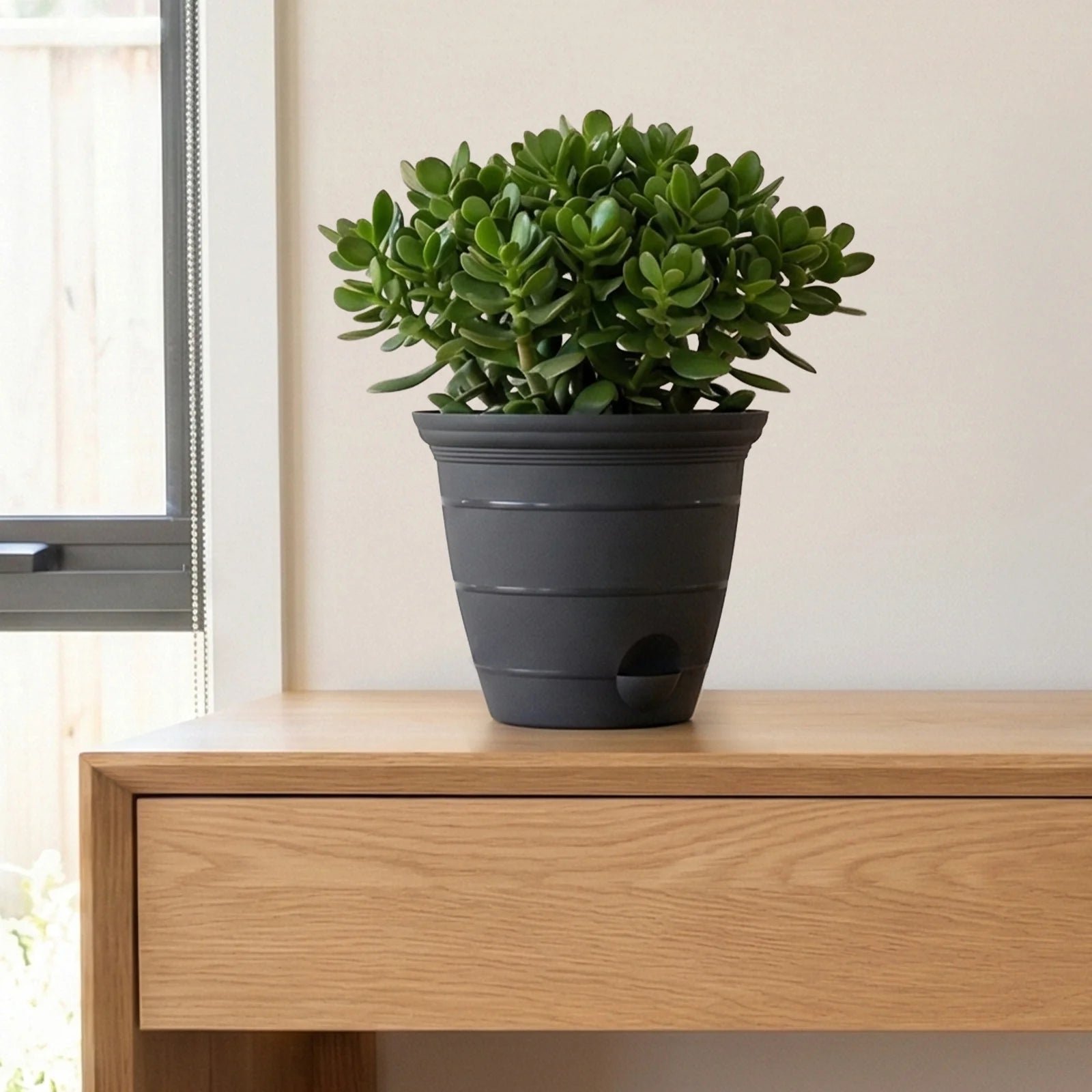 Moda 15cm Charcoal Roman Self-Watering Planter, small charcoal classic-style pot with built-in water reservoir