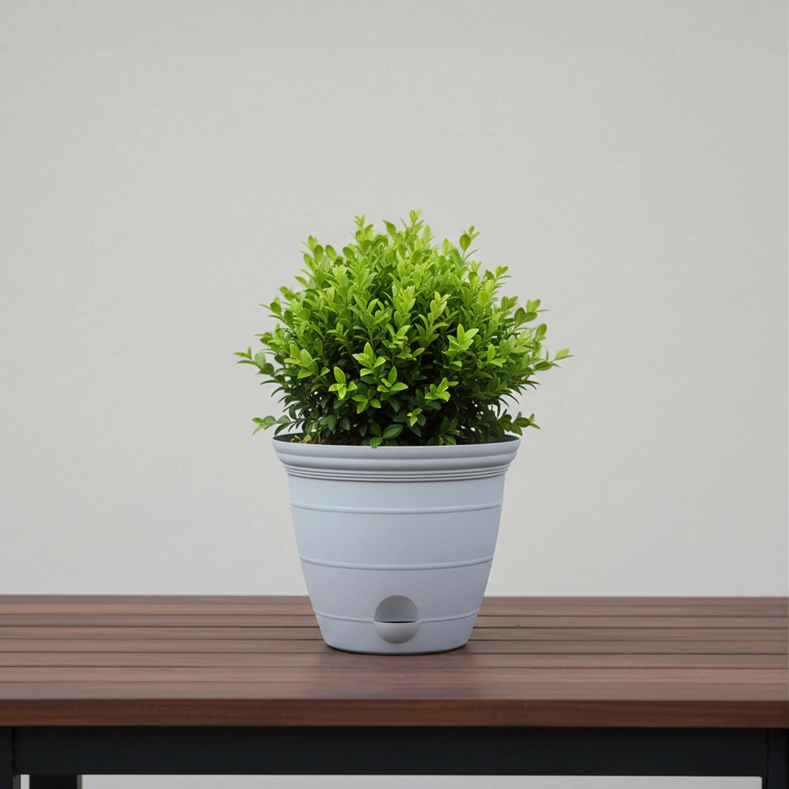 Moda 15cm Grey Roman Self-Watering Planter, small grey classic-style pot with built-in water reservoir