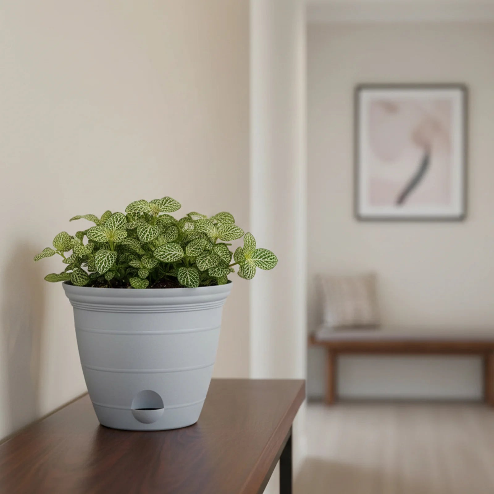 Moda 15cm Grey Roman Self-Watering Planter, small grey classic-style pot with built-in water reservoir