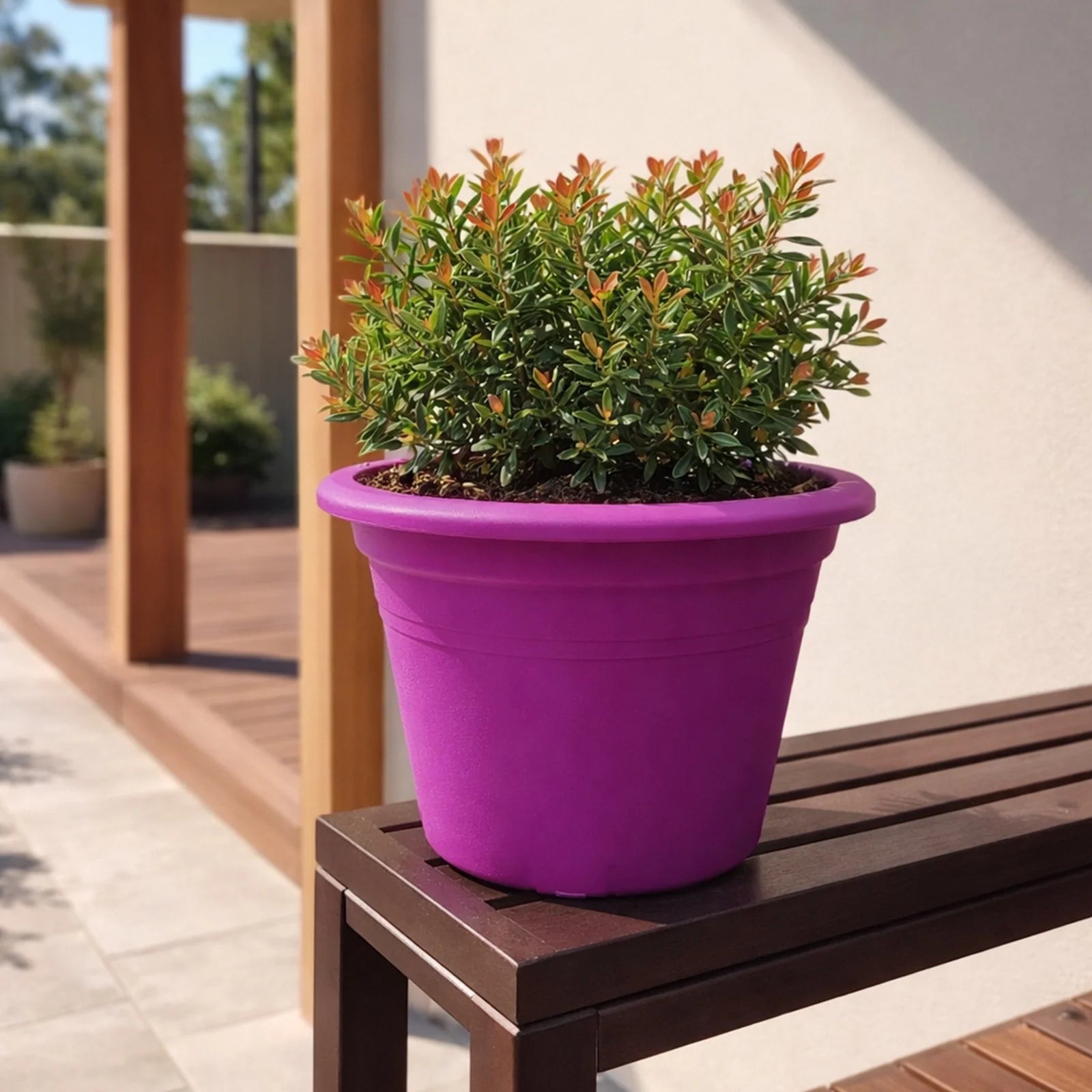 Moda 15cm Purple Transparent Round Cylinder Plastic Pot, small purple transparent cylindrical plastic pot for indoor plants