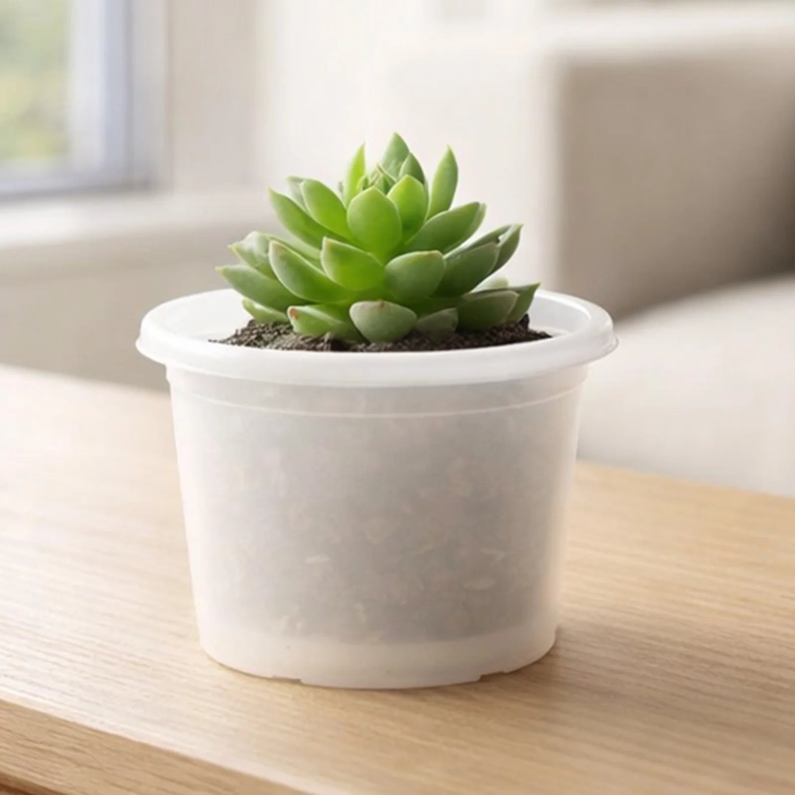 Moda 15cm White Transparent Round Cylinder Plastic Pot, small white transparent cylindrical plastic pot for indoor plants