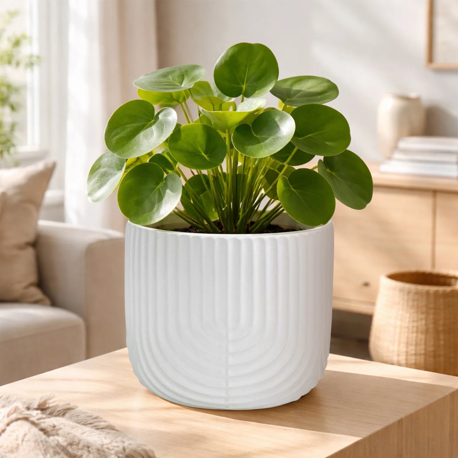 Moda 16cm Off White Rainbow Indoor Ceramic Planter, large off-white glazed rainbow ceramic pot for indoor plants