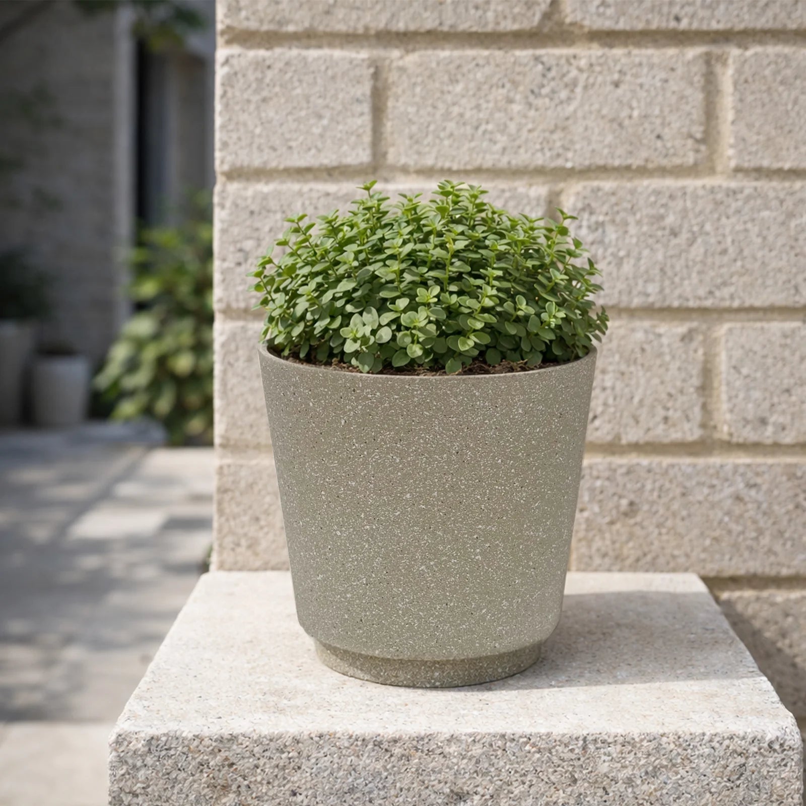 Moda 18cm Beige Round StoneLite Self-Watering Plastic Pot, small beige stone-look pot with self-watering reservoir