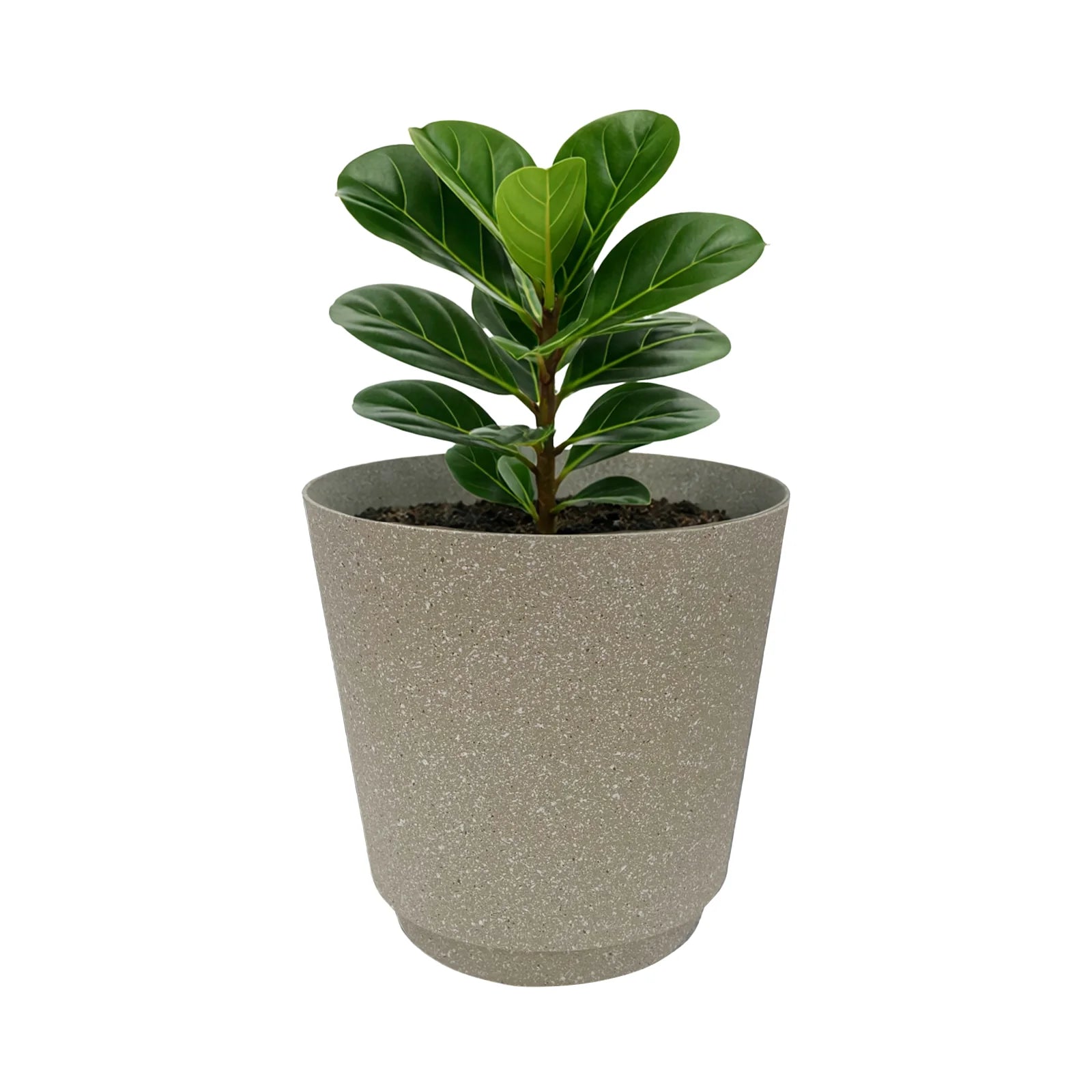 Moda 18cm Beige Round StoneLite Self-Watering Plastic Pot, small beige stone-look pot with self-watering reservoir