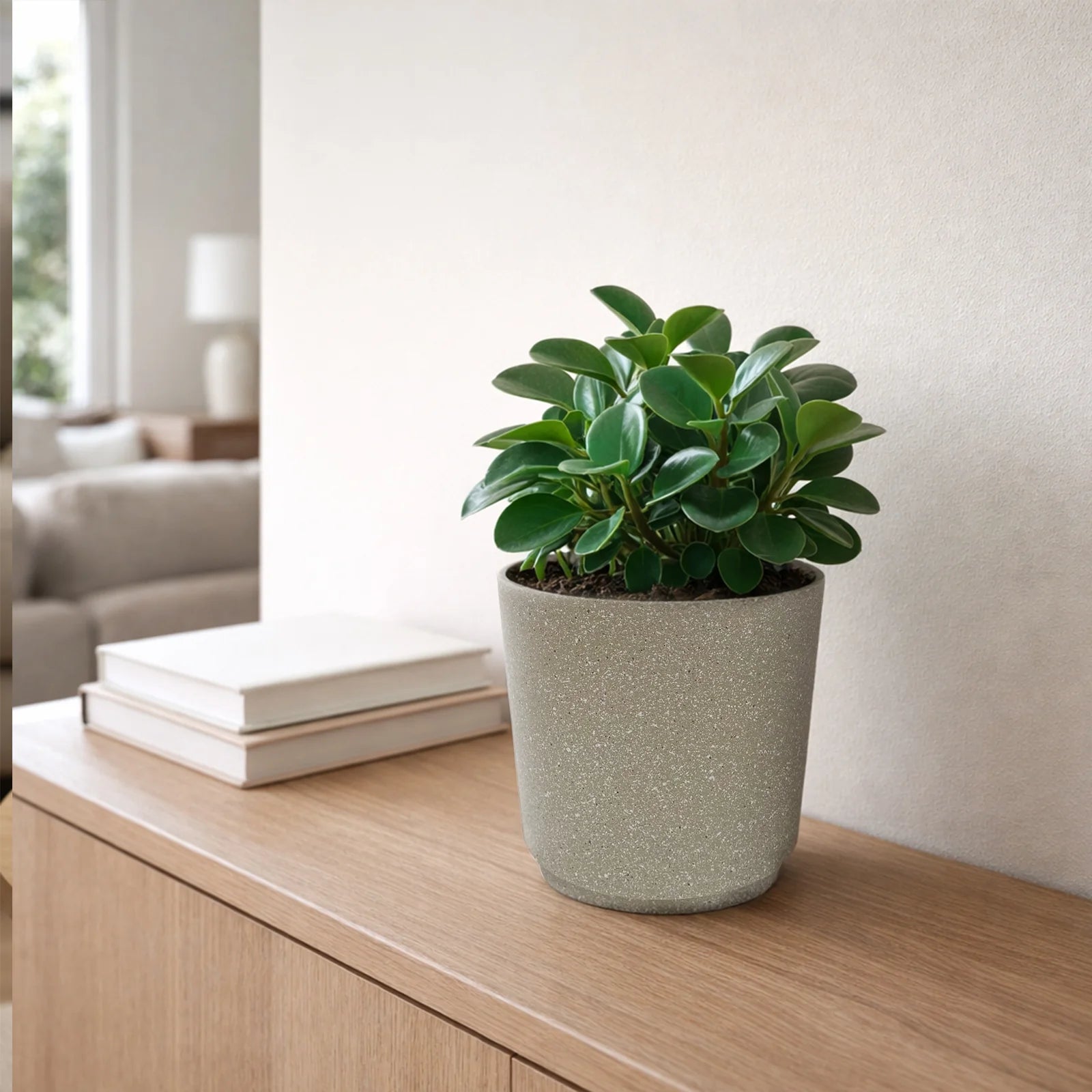 Moda 18cm Beige Round StoneLite Self-Watering Plastic Pot, small beige stone-look pot with self-watering reservoir