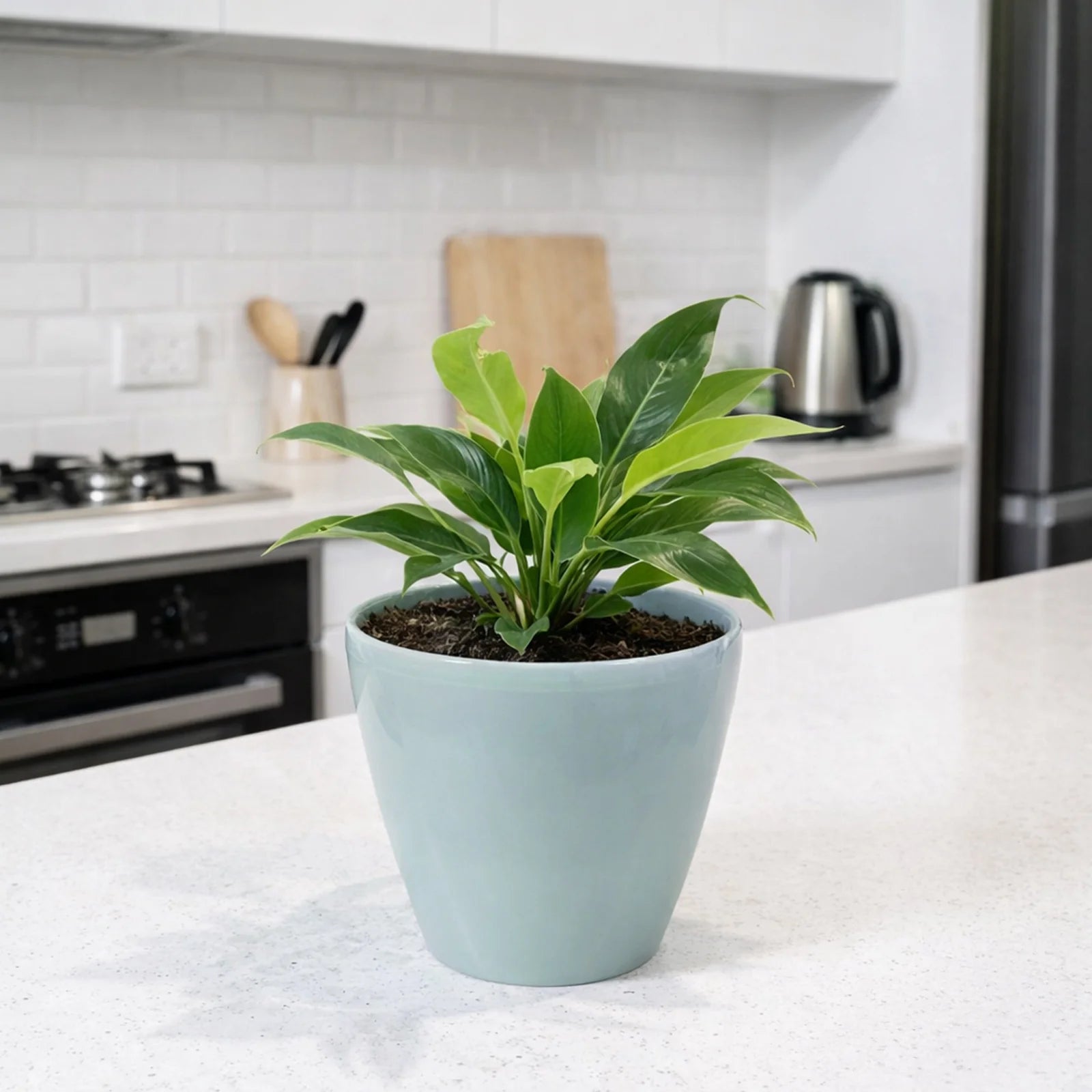 Moda 18cm Blue Round Premium Self-Watering Plastic Pot, small blue pot with built-in water reservoir