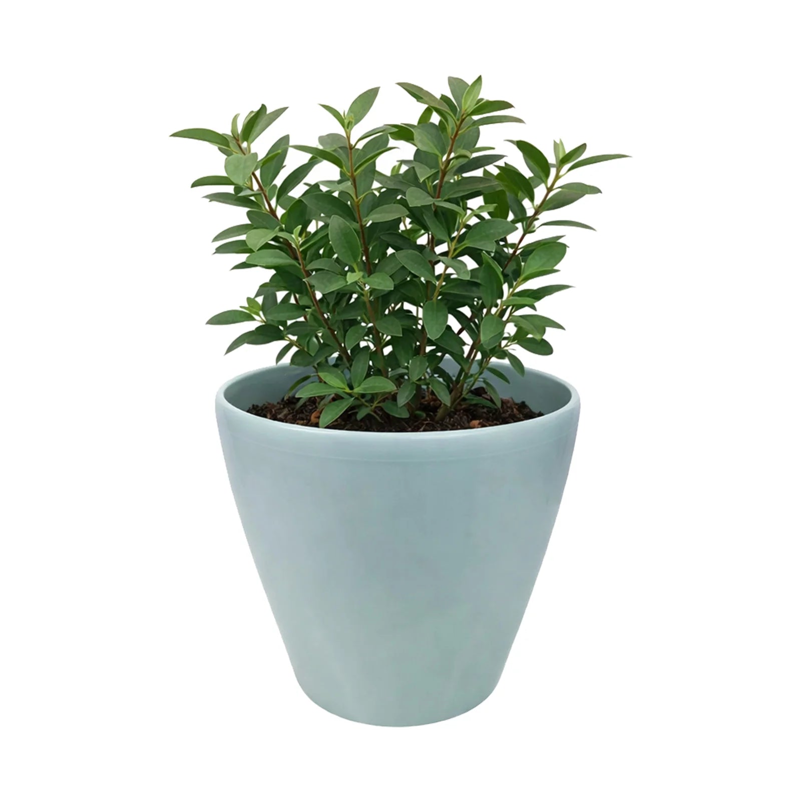 Moda 18cm Blue Round Premium Self-Watering Plastic Pot, small blue pot with built-in water reservoir