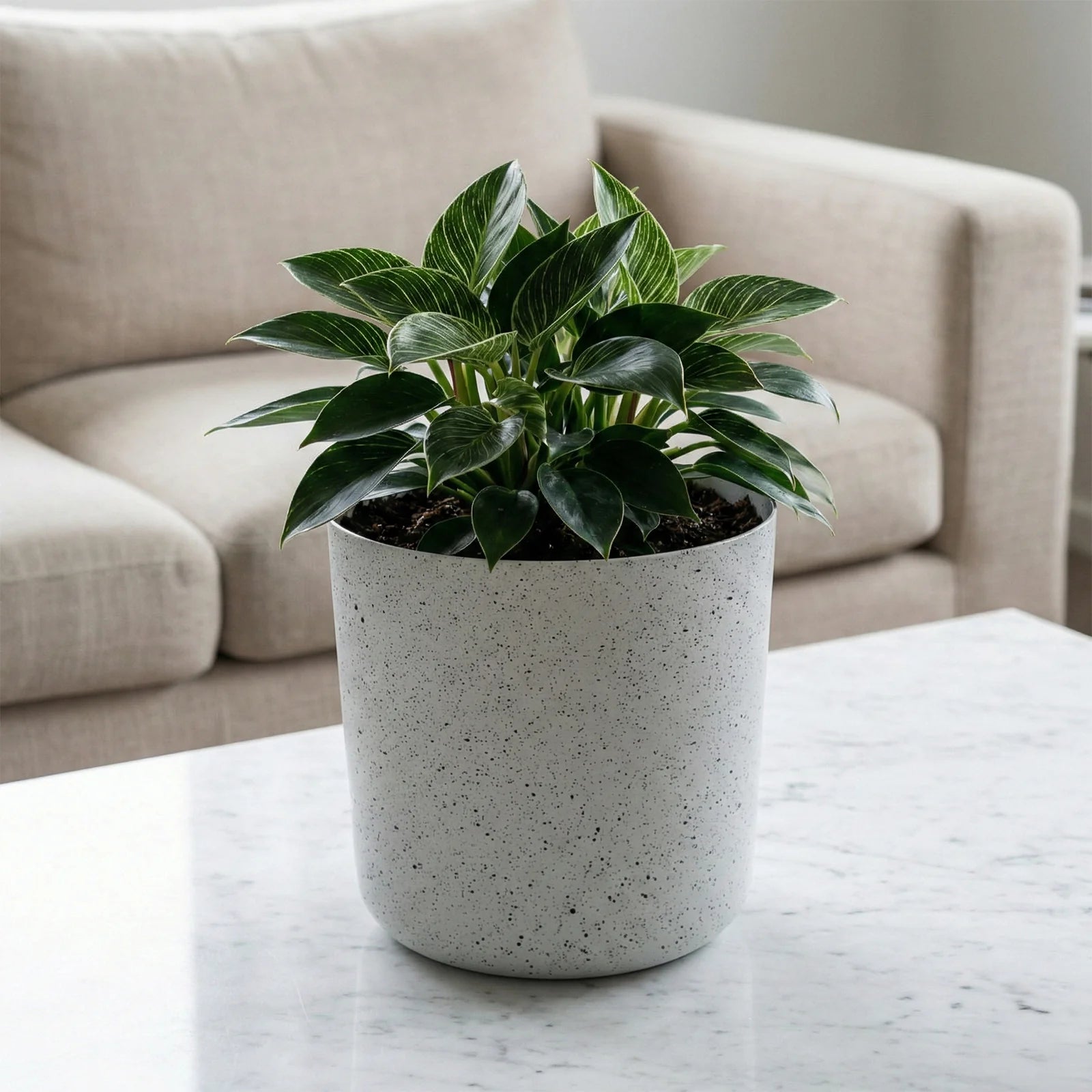 Moda 18cm White Stonelite Sphere Planter, small round ball-shaped white lightweight stone-look pot