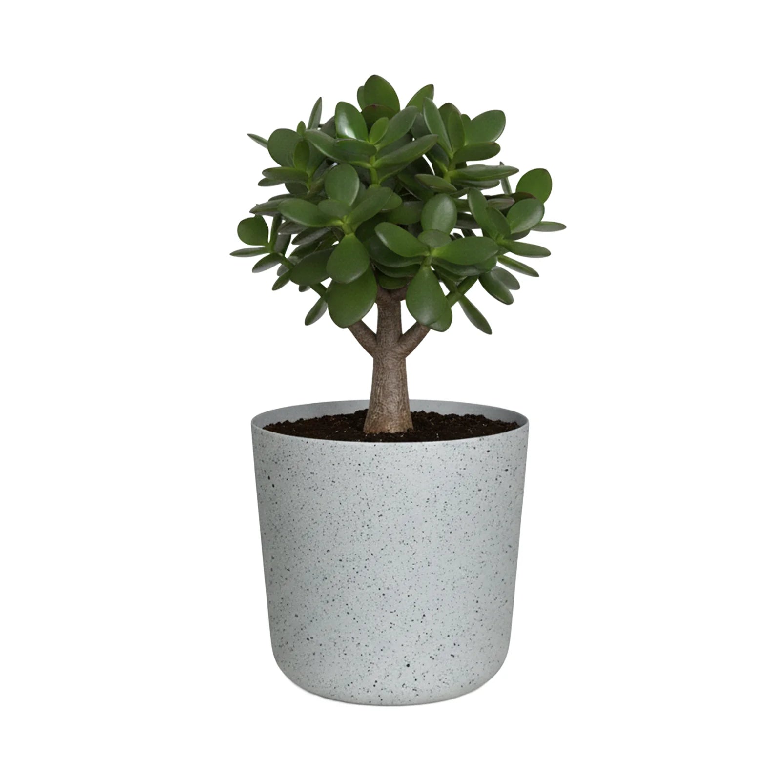 Moda 18cm White Stonelite Sphere Planter, small round ball-shaped white lightweight stone-look pot